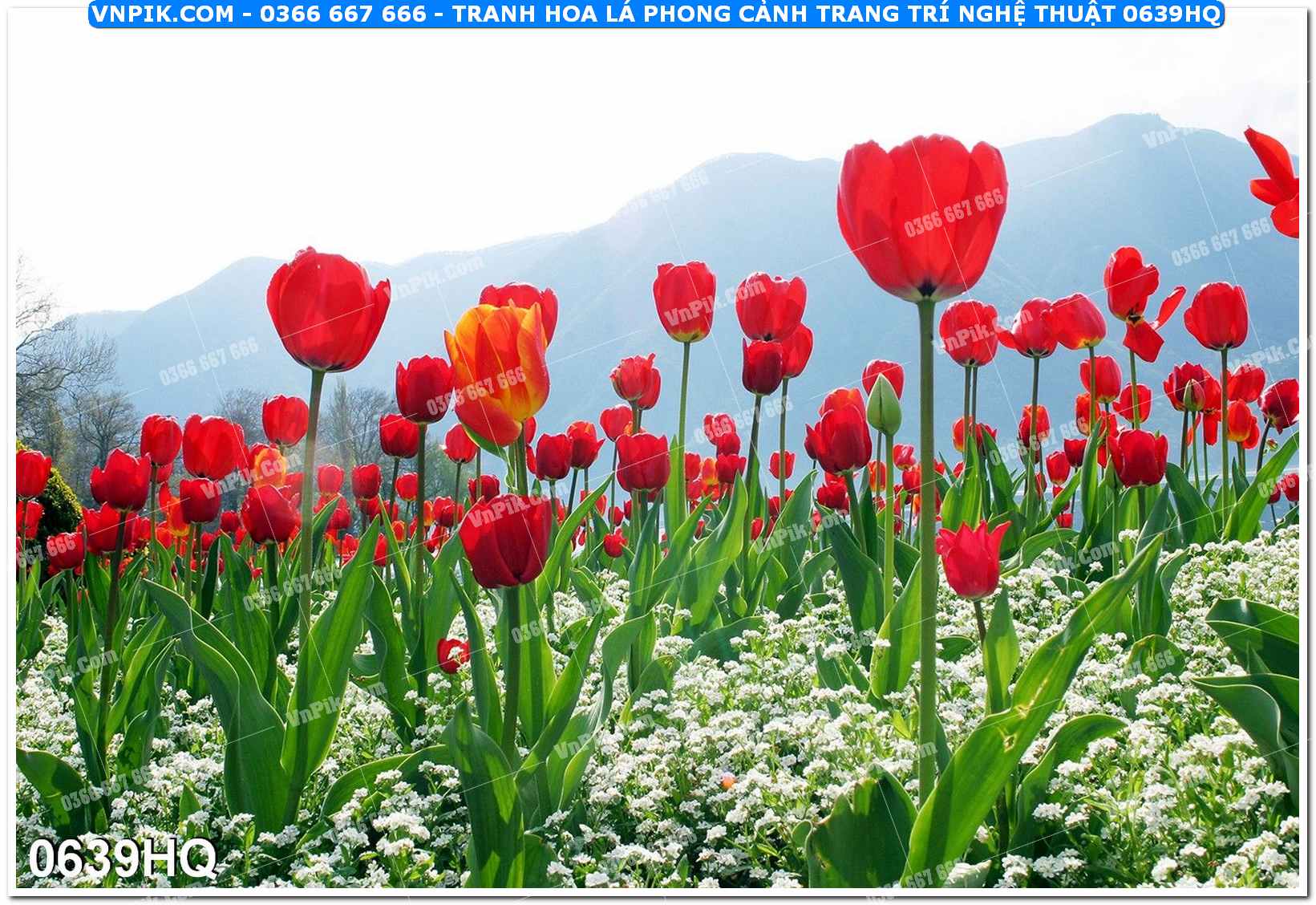 Tranh hoa lá phong cảnh trang trí nghệ thuật 0639HQ