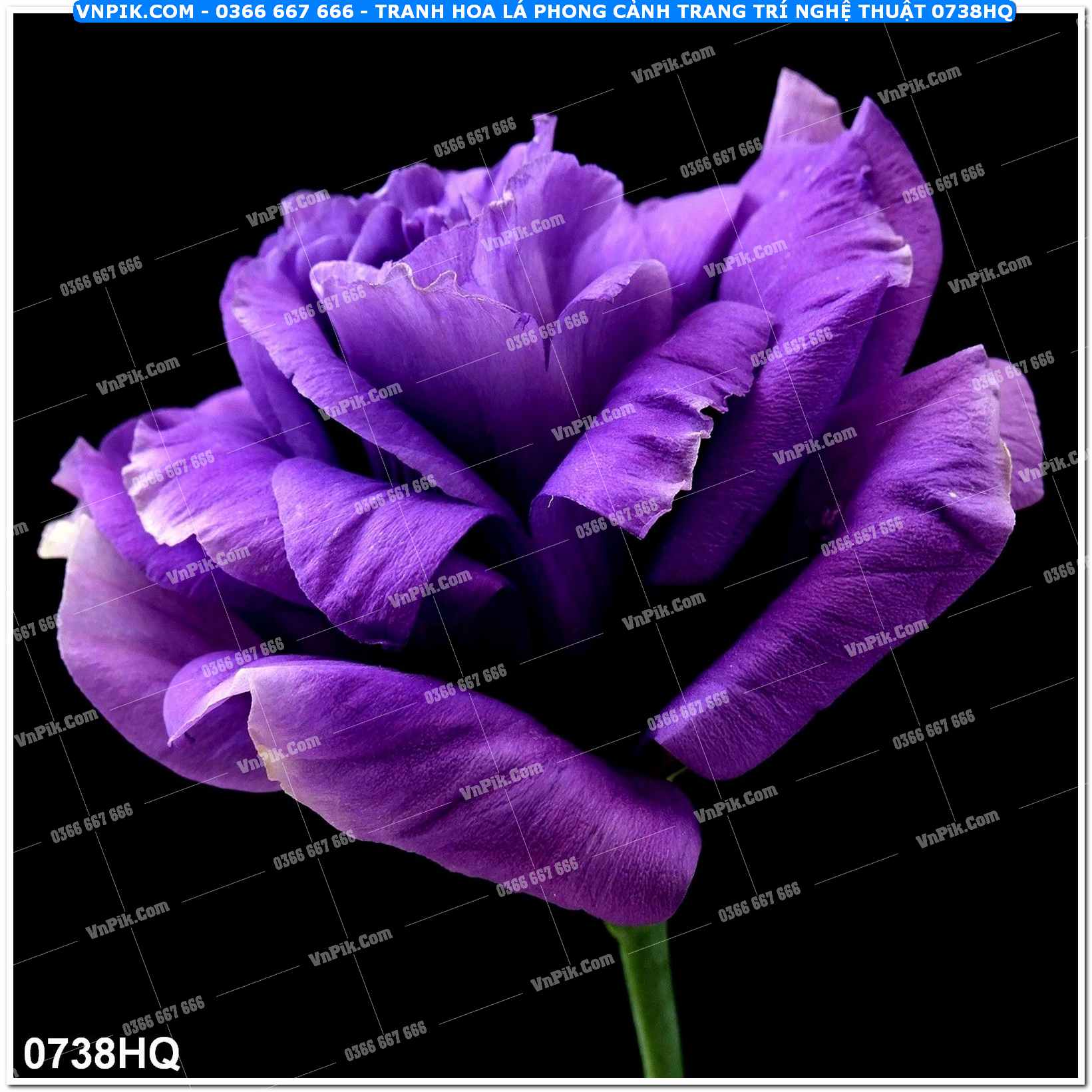 Tranh hoa lá phong cảnh trang trí nghệ thuật 0738HQ