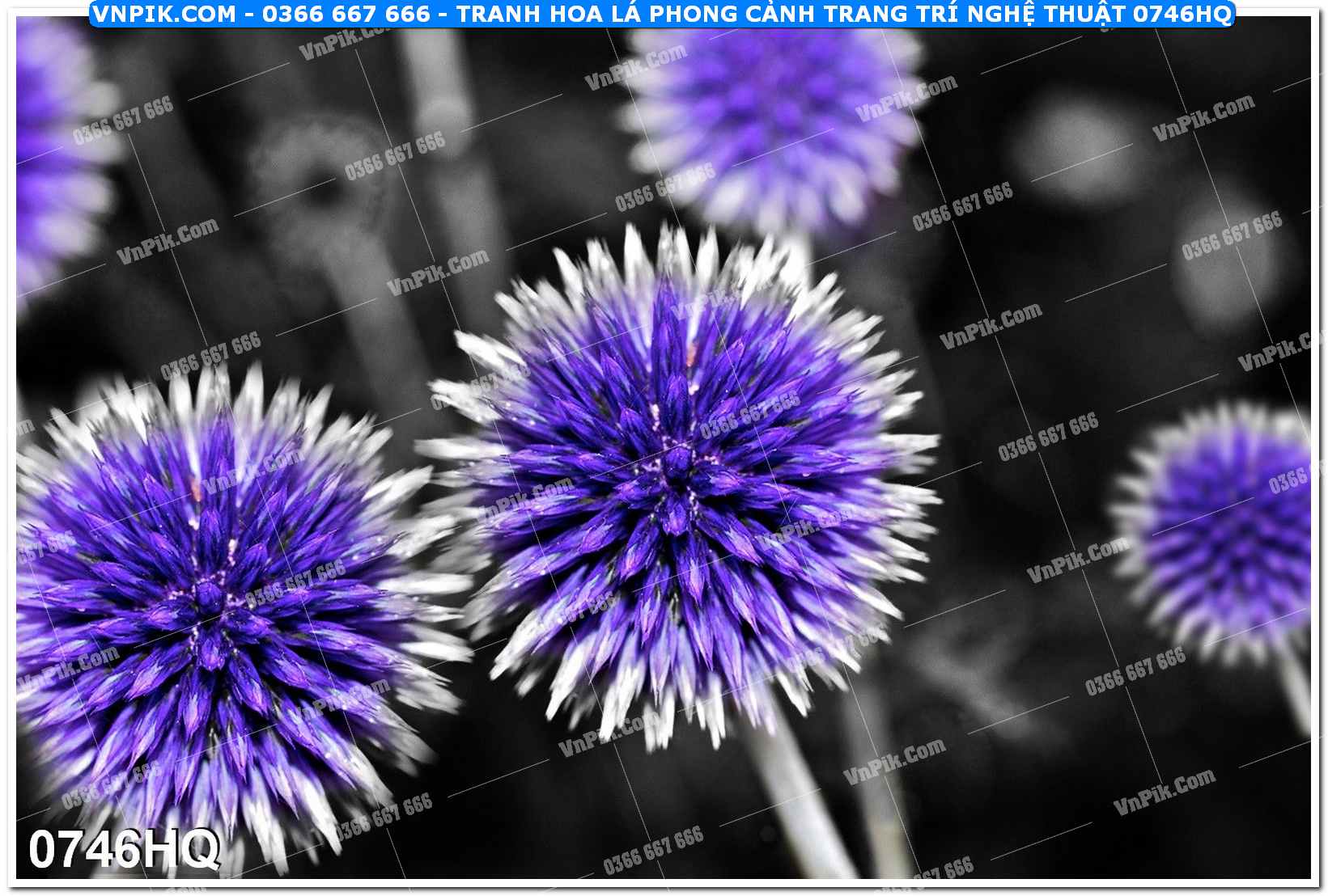 Tranh hoa lá phong cảnh trang trí nghệ thuật 0746HQ