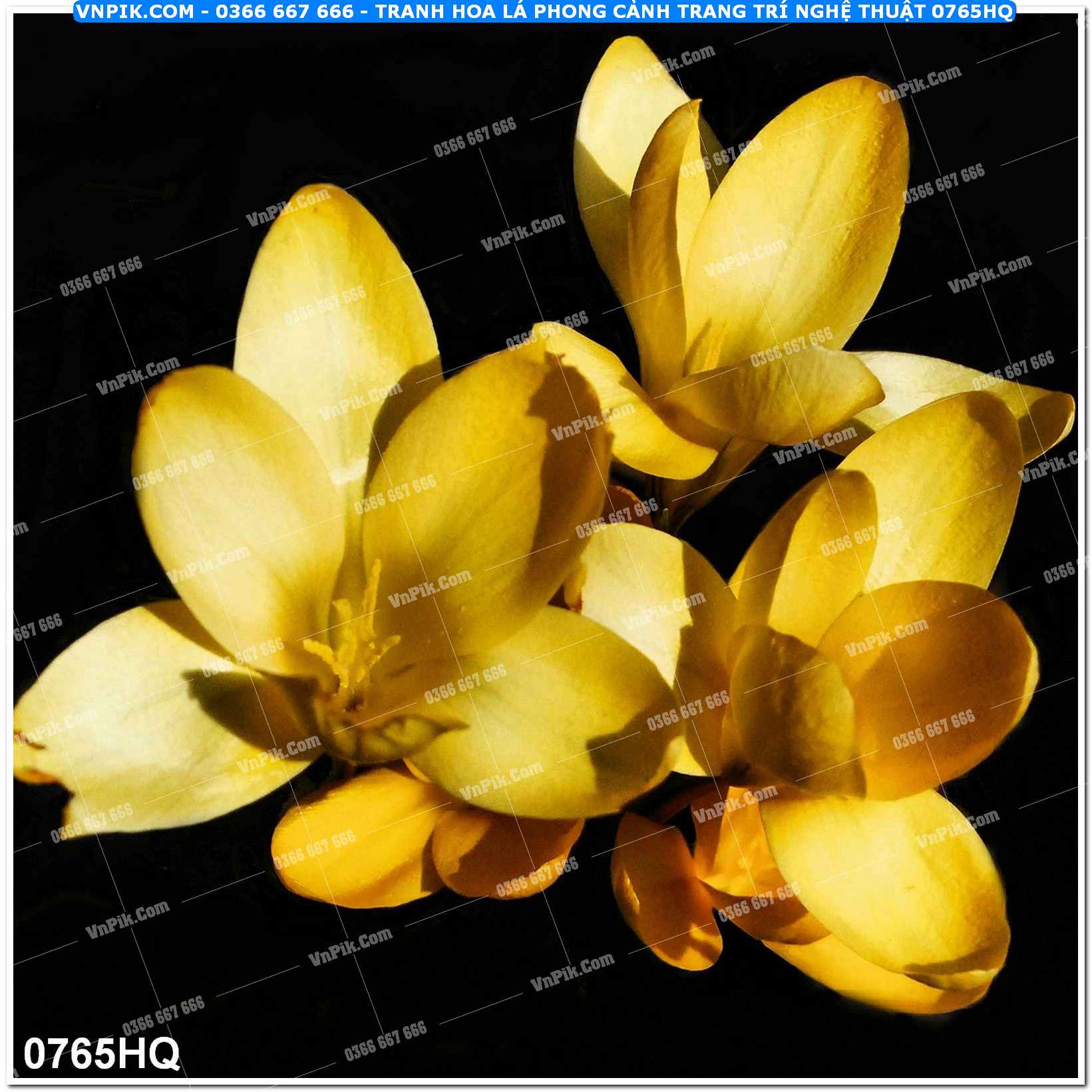 Tranh hoa lá phong cảnh trang trí nghệ thuật 0765HQ