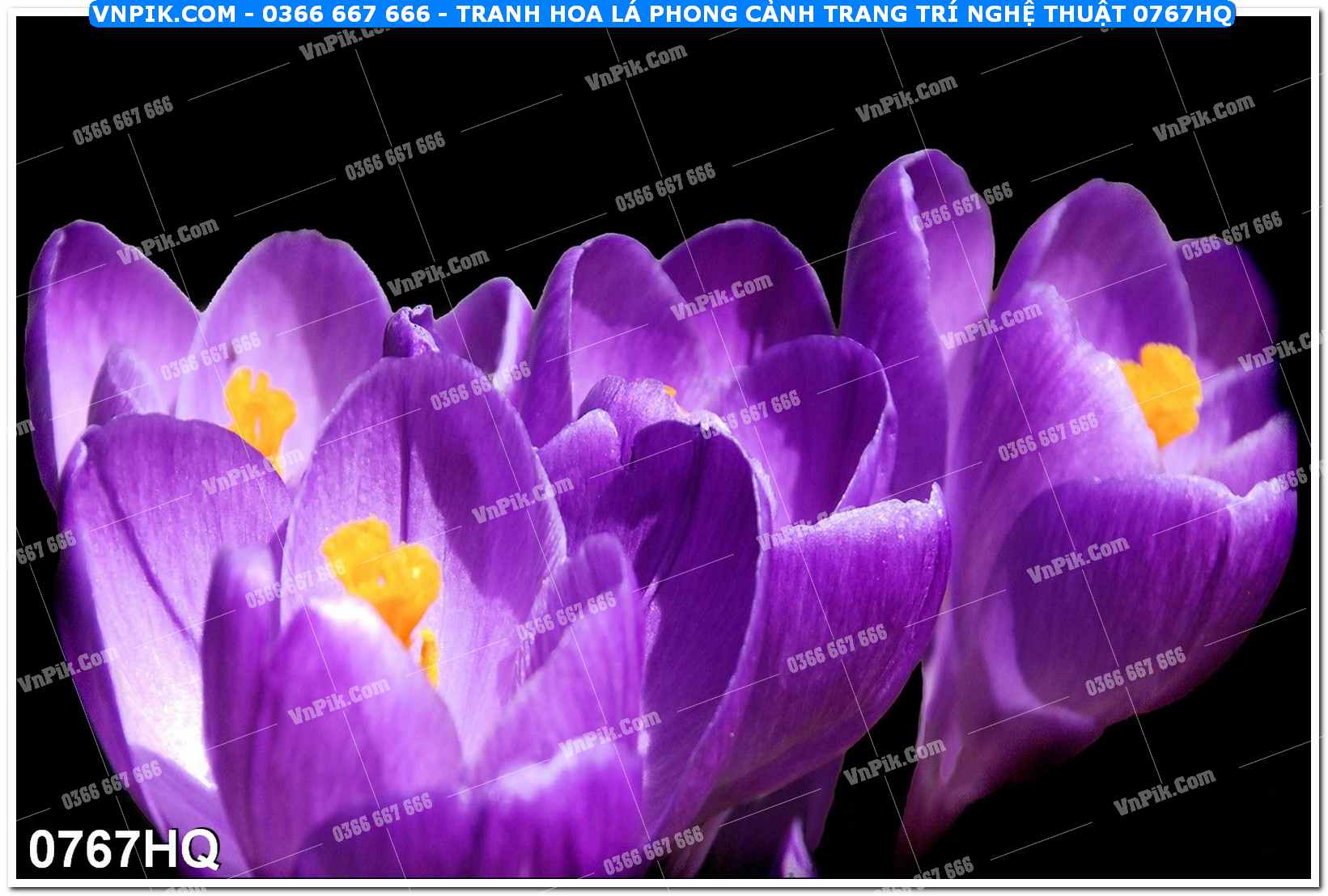 Tranh hoa lá phong cảnh trang trí nghệ thuật 0767HQ