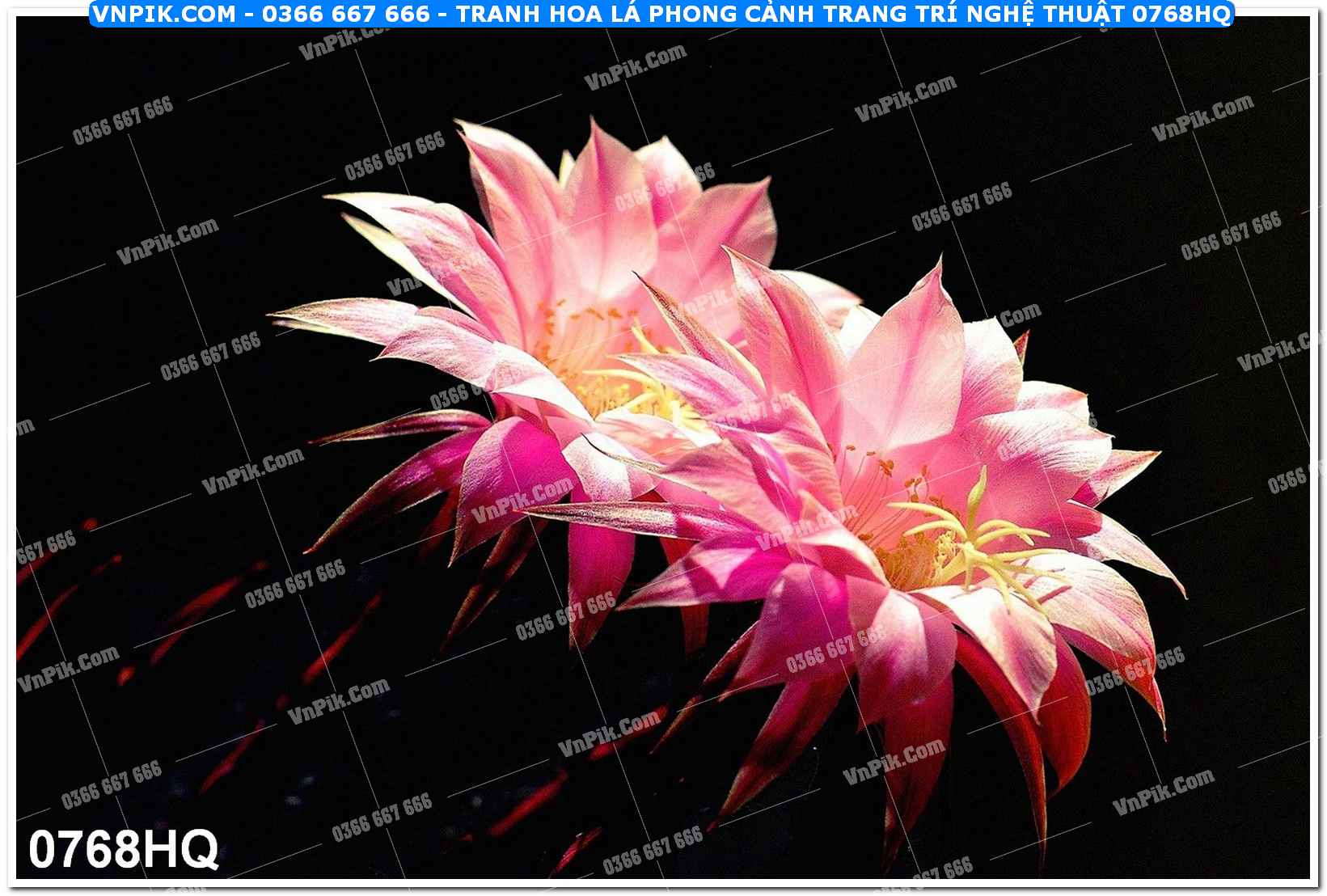 Tranh hoa lá phong cảnh trang trí nghệ thuật 0768HQ