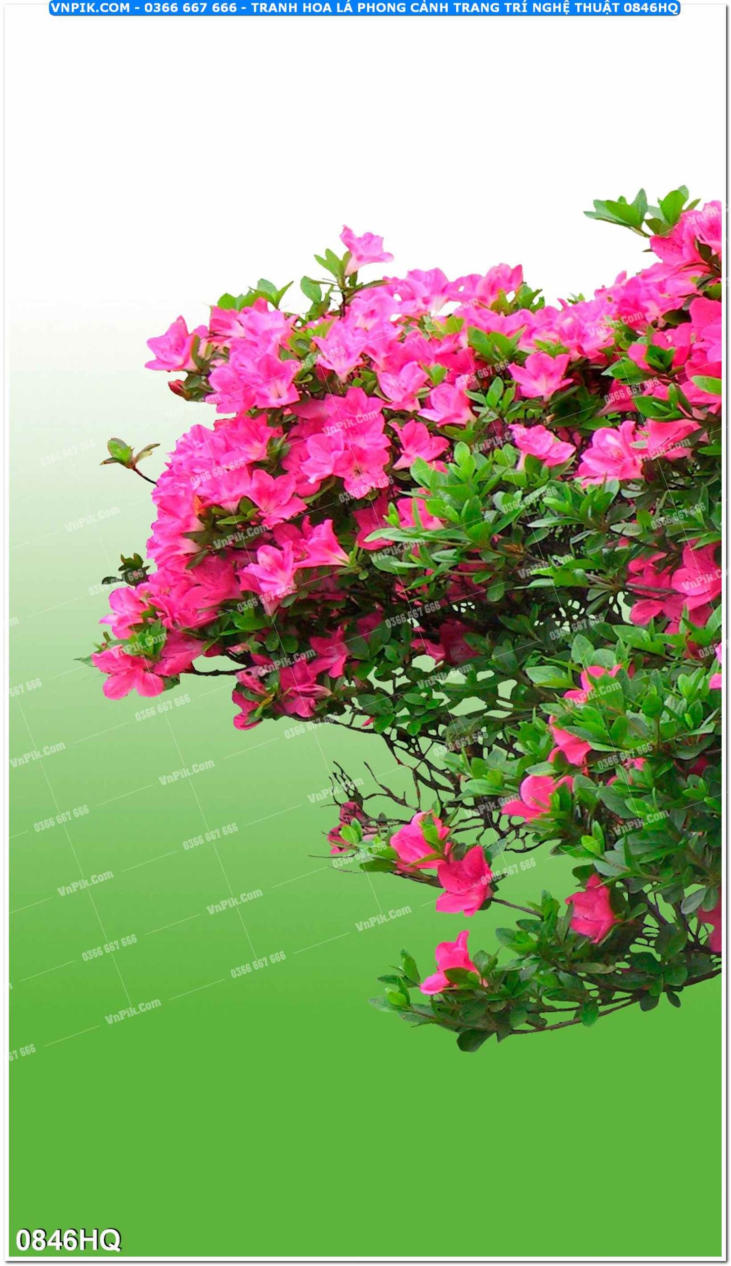 Tranh hoa lá phong cảnh trang trí nghệ thuật 0846HQ