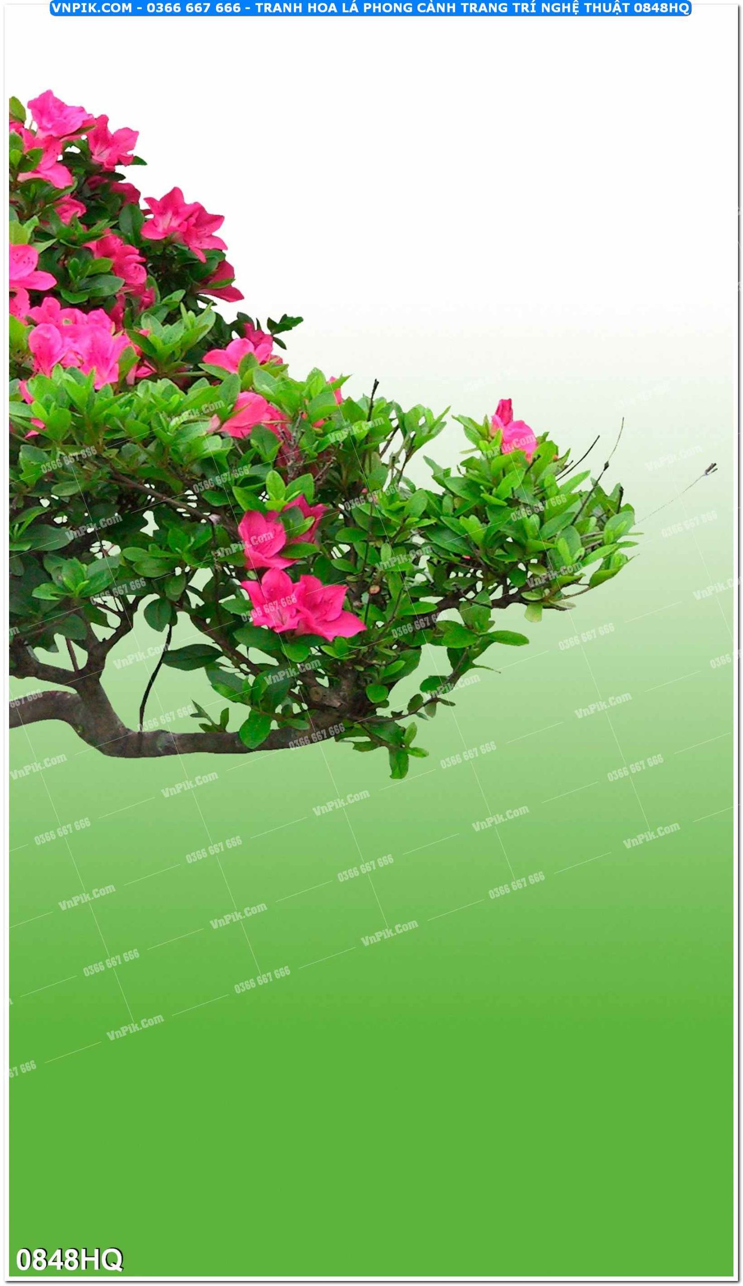 Tranh hoa lá phong cảnh trang trí nghệ thuật 0848HQ