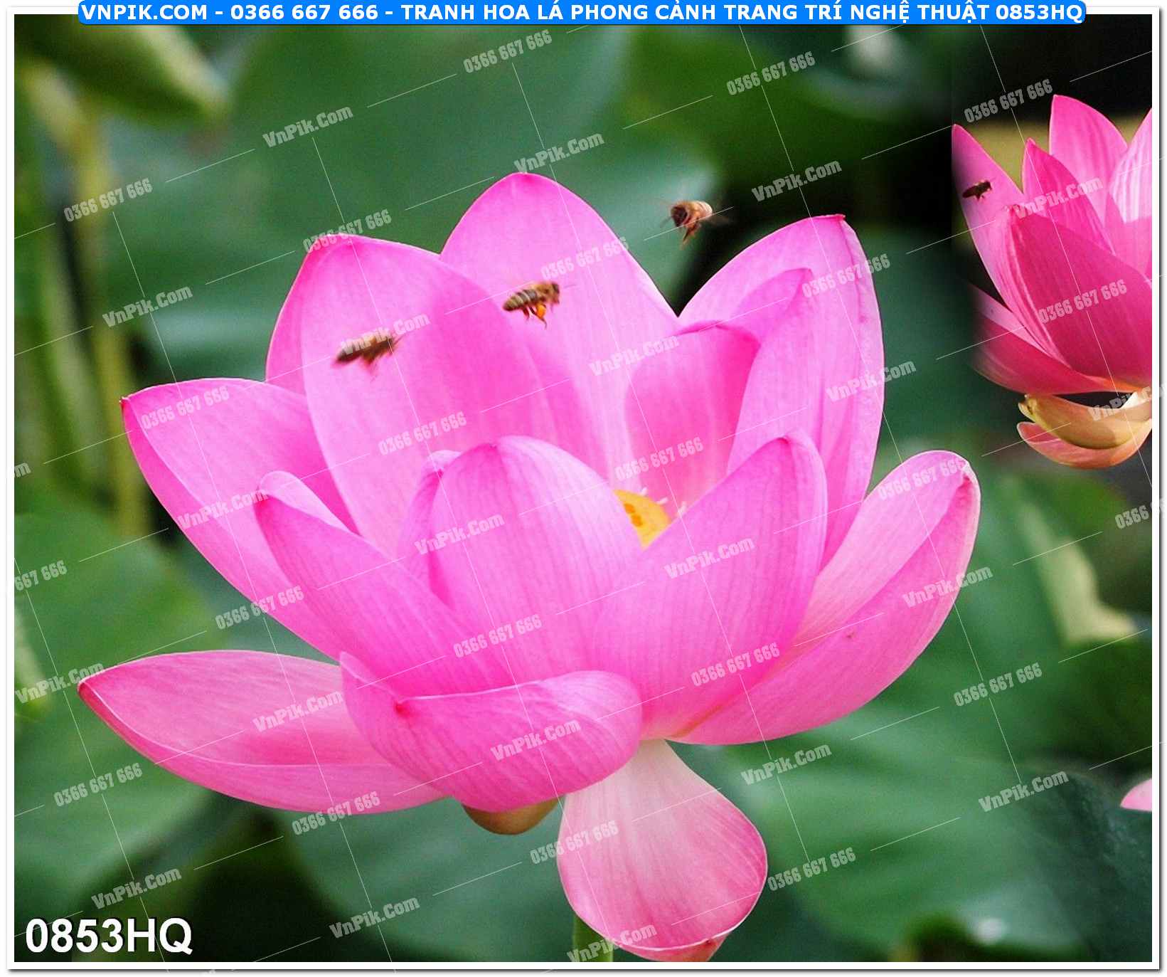 Tranh hoa lá phong cảnh trang trí nghệ thuật 0853HQ