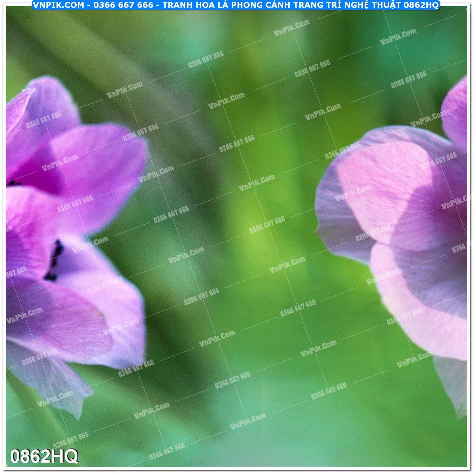 Tranh hoa lá phong cảnh trang trí nghệ thuật 0862HQ