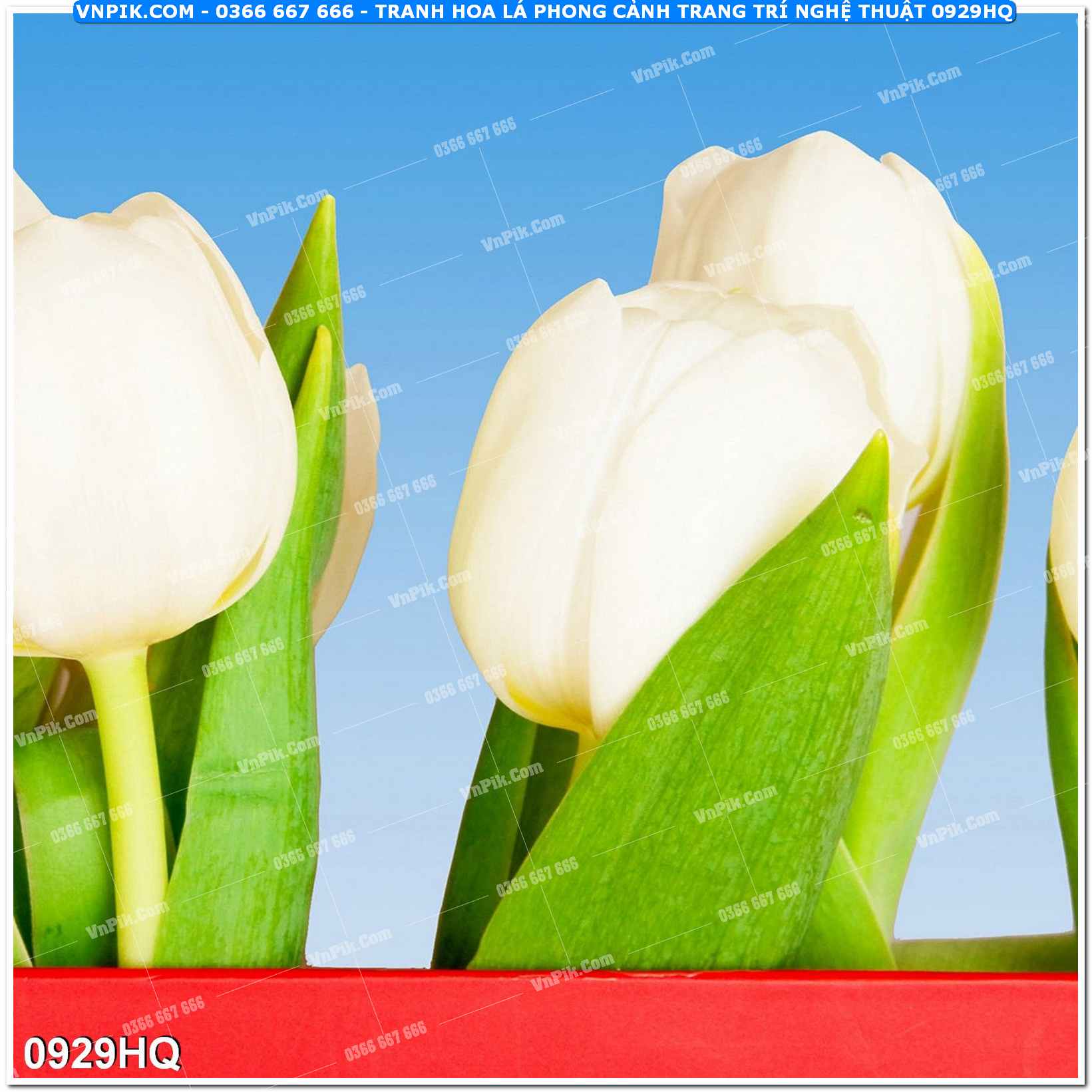 Tranh hoa lá phong cảnh trang trí nghệ thuật 0929HQ