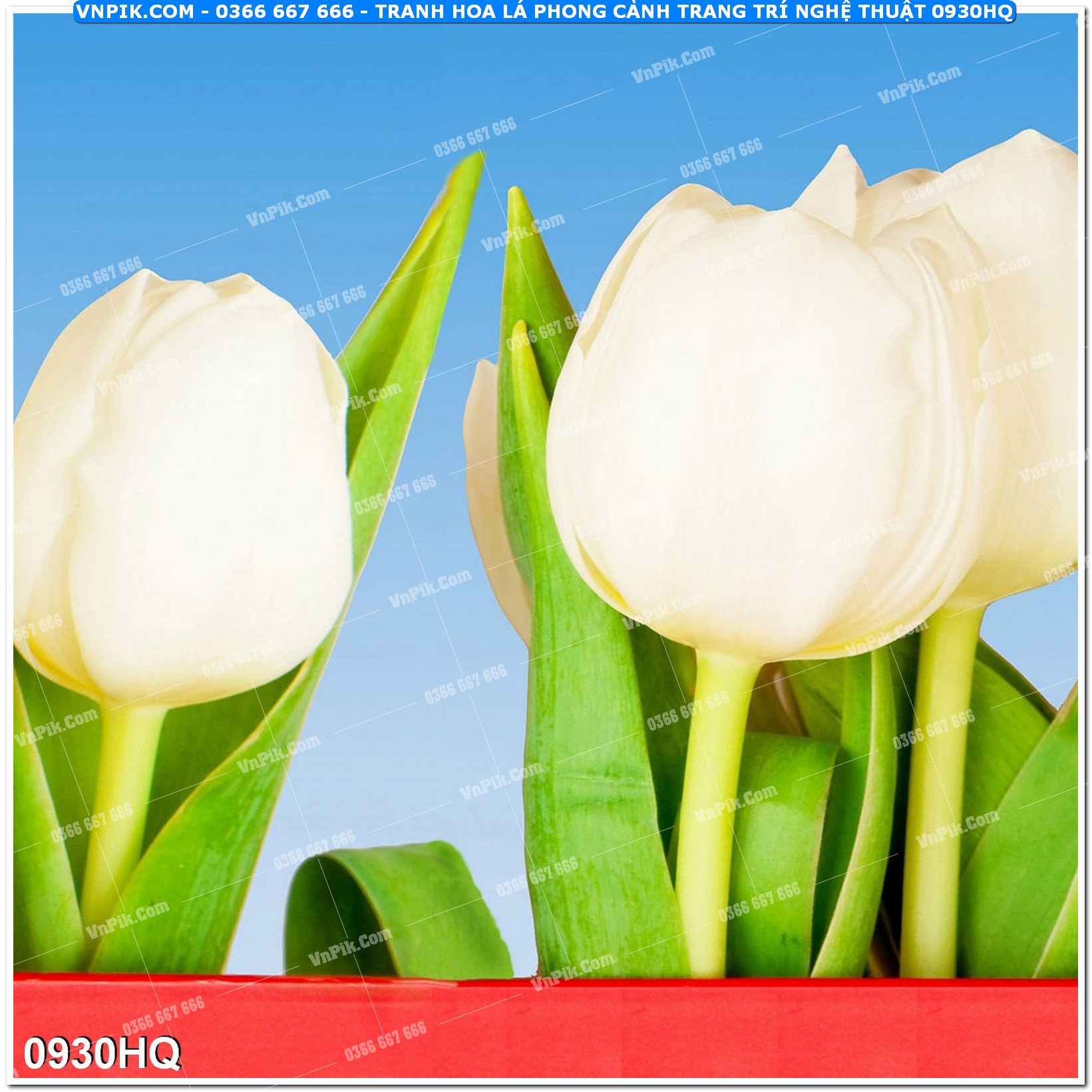 Tranh hoa lá phong cảnh trang trí nghệ thuật 0930HQ