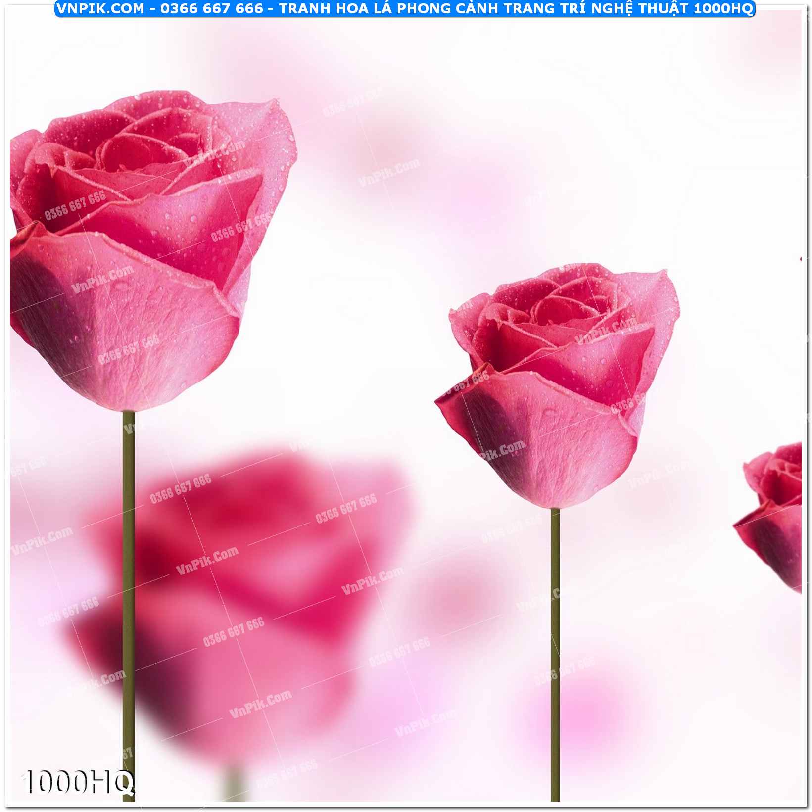 Tranh hoa lá phong cảnh trang trí nghệ thuật 1000HQ