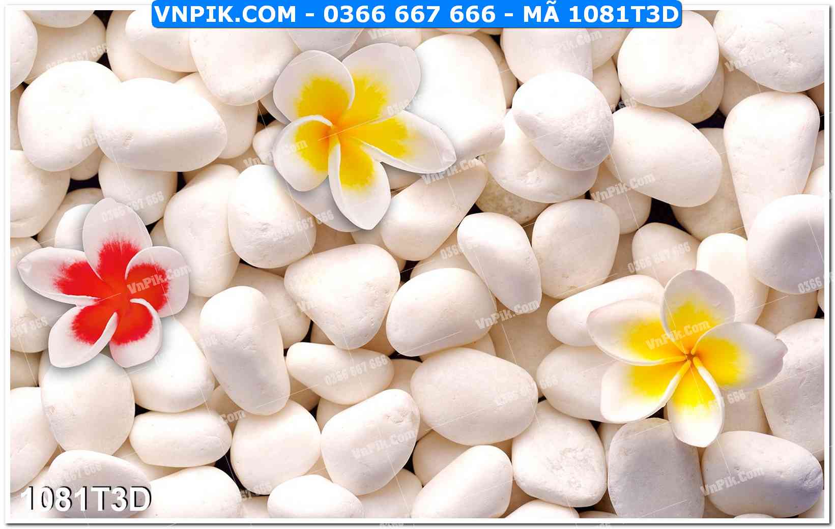 Trah Treo Tường – Tranh 3D Hiện Đại 1081T3D