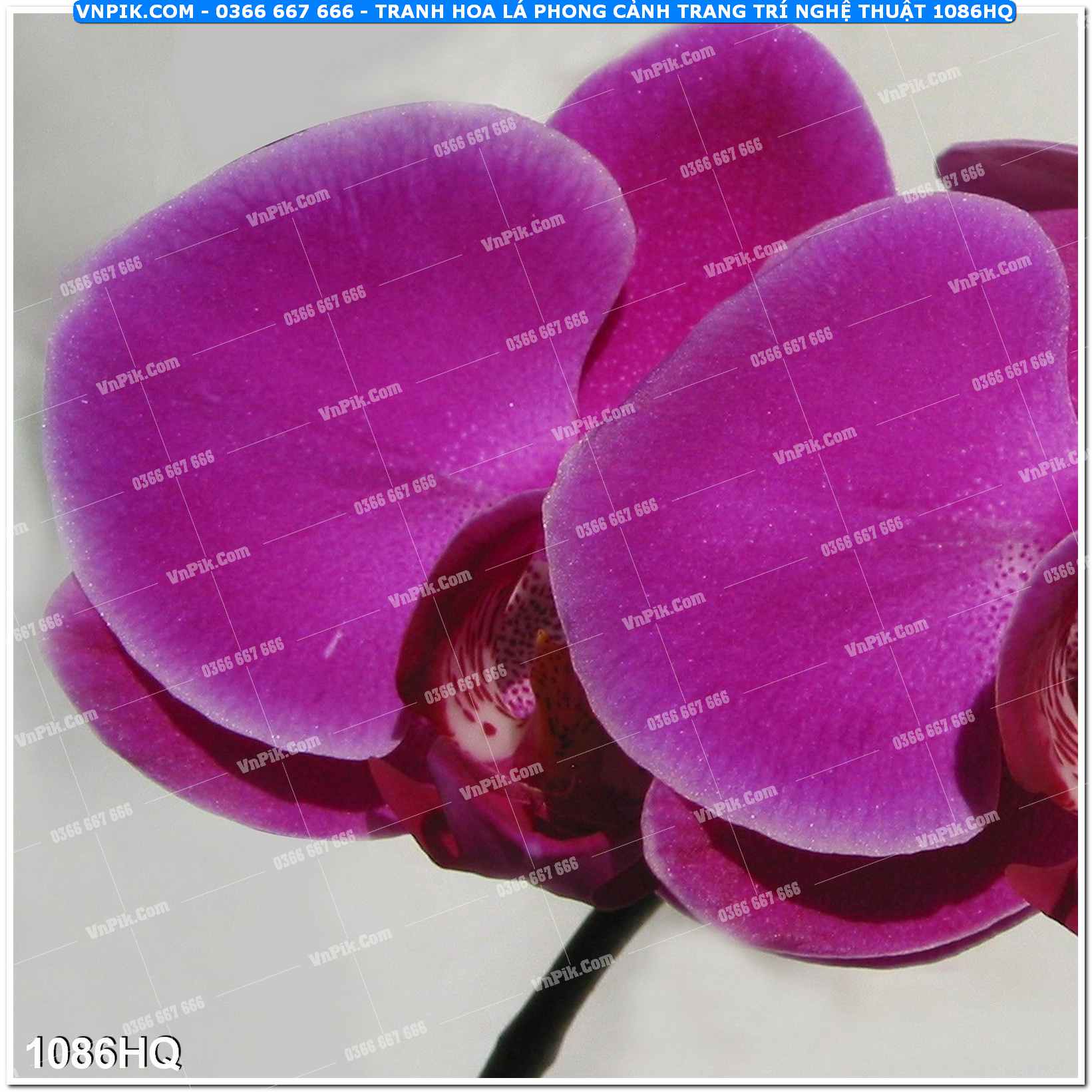 Tranh hoa lá phong cảnh trang trí nghệ thuật 1086HQ