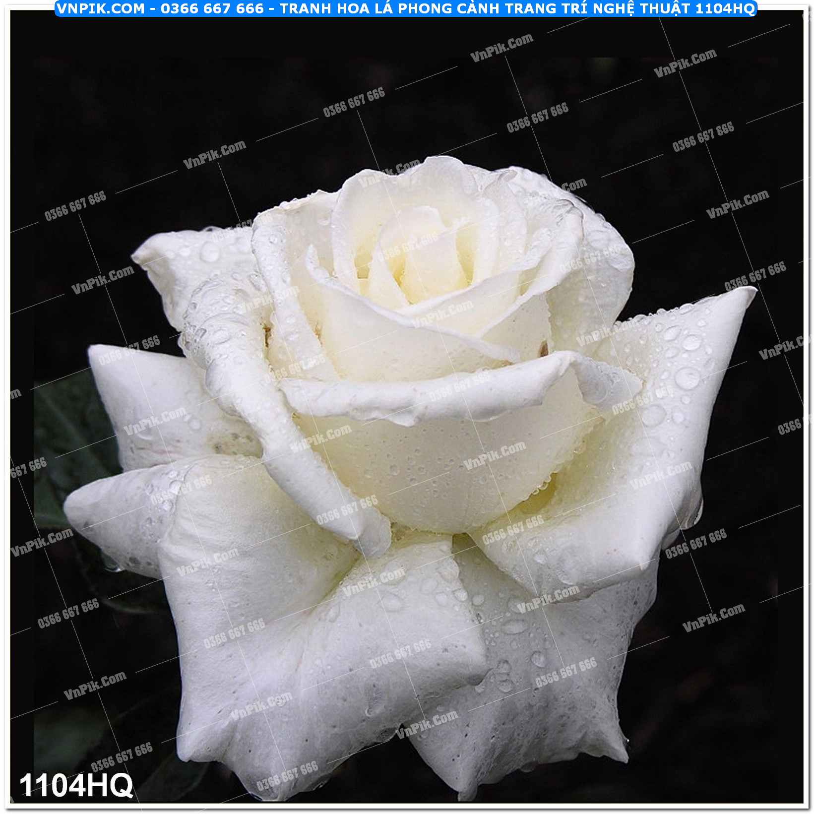 Tranh hoa lá phong cảnh trang trí nghệ thuật 1104HQ