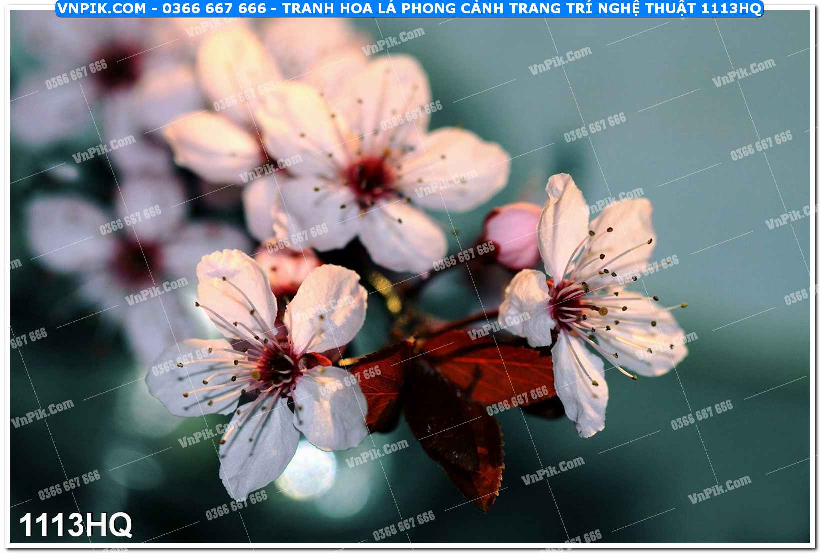 Tranh hoa lá phong cảnh trang trí nghệ thuật 1113HQ