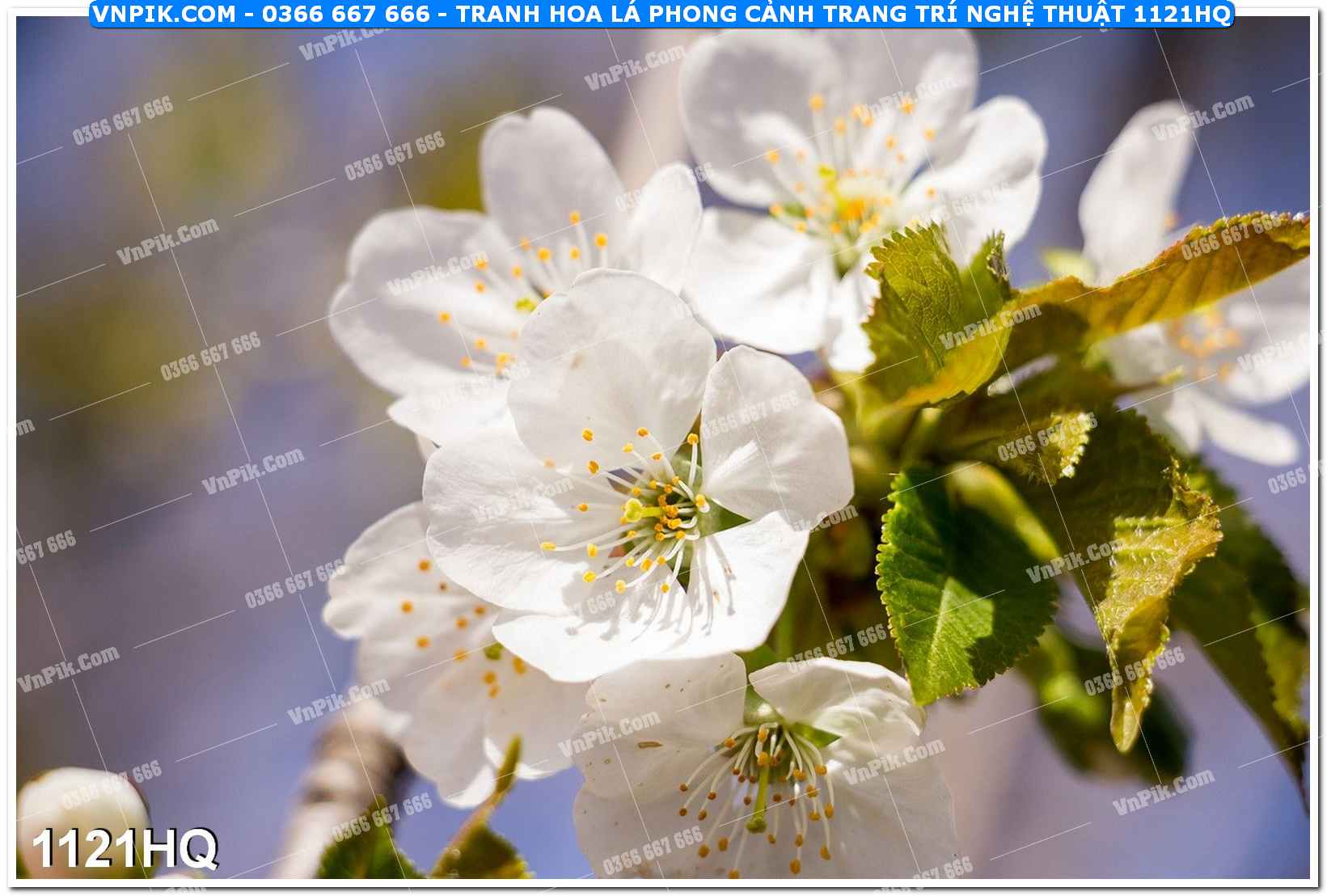 Tranh hoa lá phong cảnh trang trí nghệ thuật 1121HQ