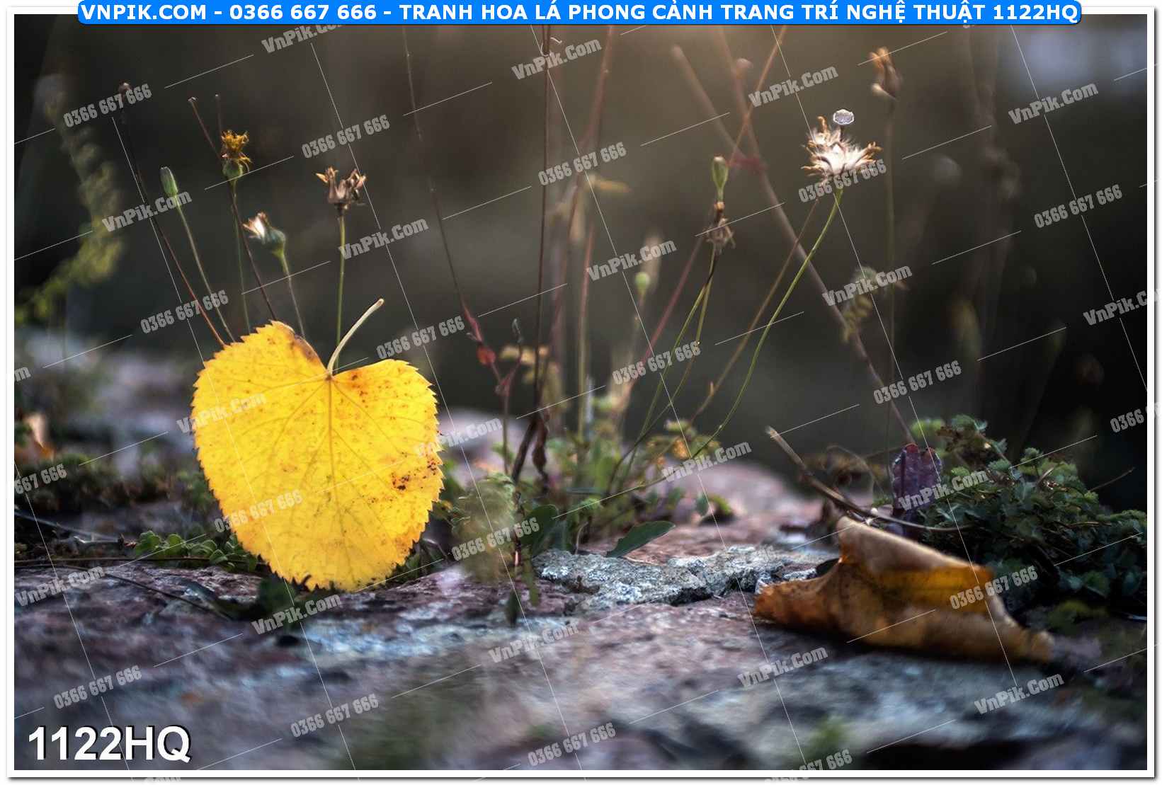 Tranh hoa lá phong cảnh trang trí nghệ thuật 1122HQ