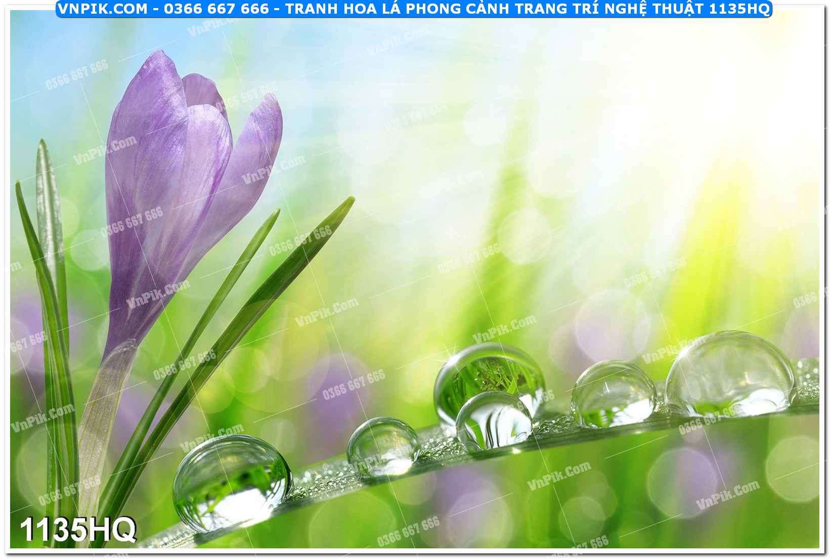 Tranh hoa lá phong cảnh trang trí nghệ thuật 1135HQ
