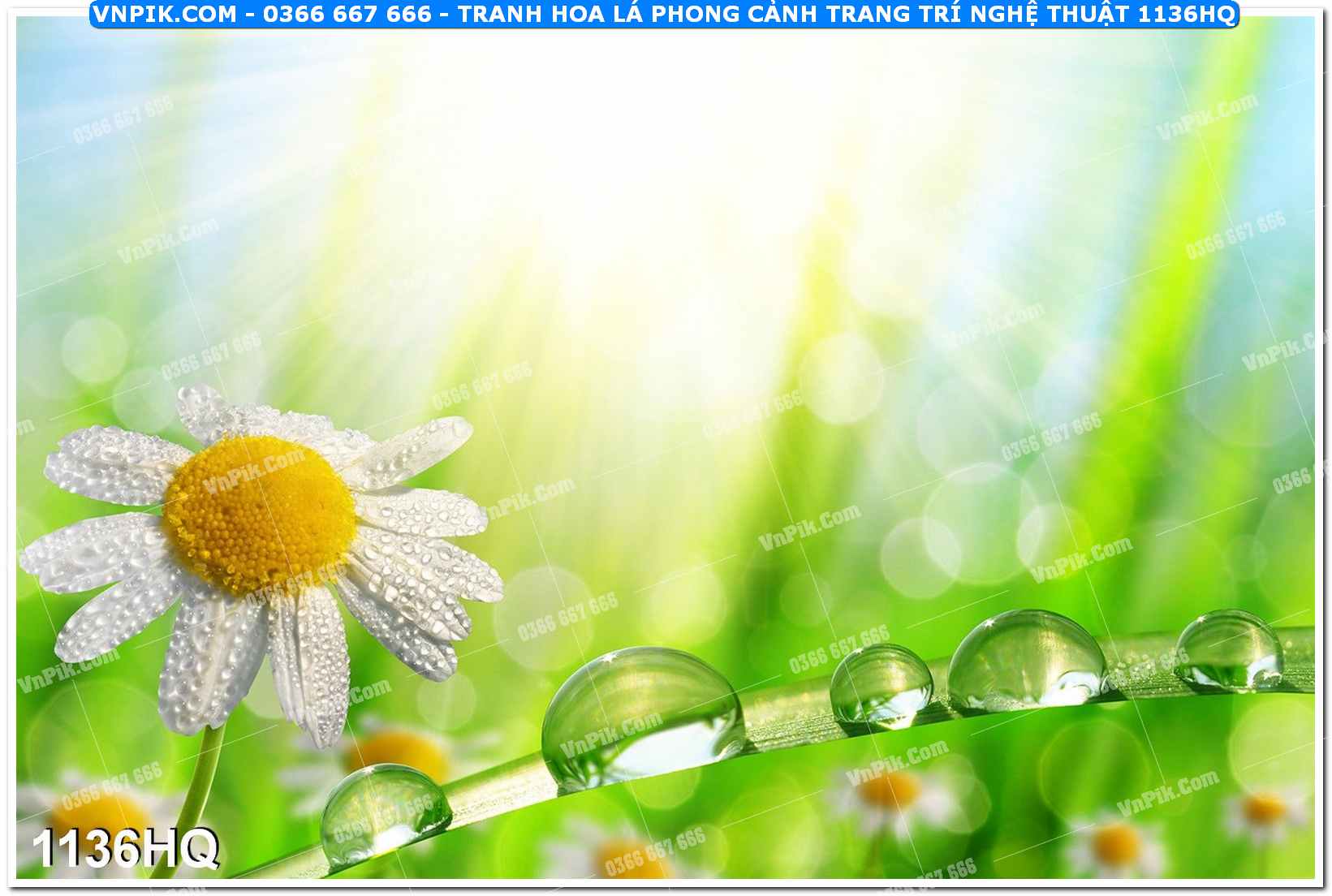 Tranh hoa lá phong cảnh trang trí nghệ thuật 1136HQ