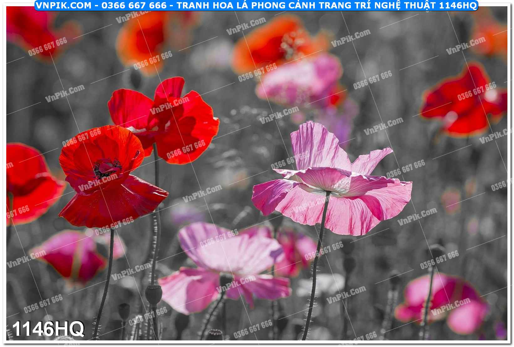 Tranh hoa lá phong cảnh trang trí nghệ thuật 1146HQ