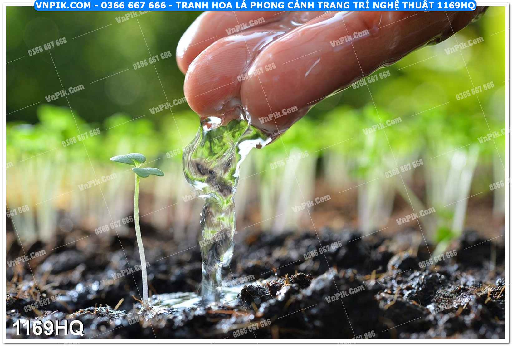 Tranh hoa lá phong cảnh trang trí nghệ thuật 1169HQ