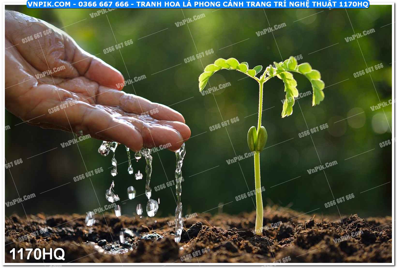 Tranh hoa lá phong cảnh trang trí nghệ thuật 1170HQ
