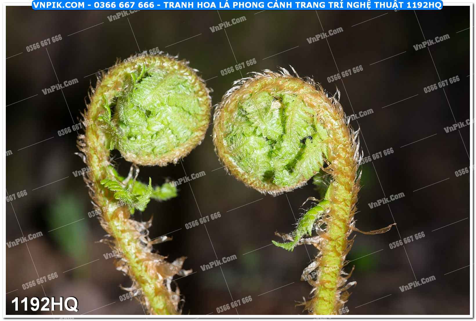 Tranh hoa lá phong cảnh trang trí nghệ thuật 1192HQ