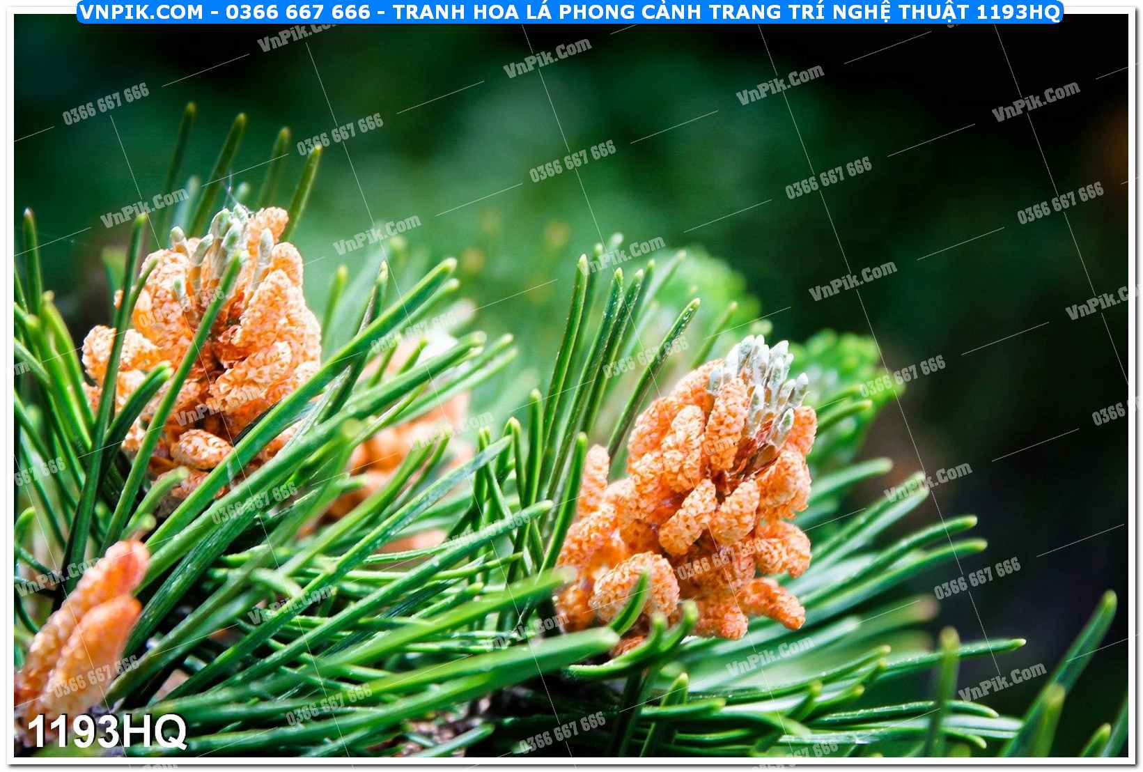 Tranh hoa lá phong cảnh trang trí nghệ thuật 1193HQ