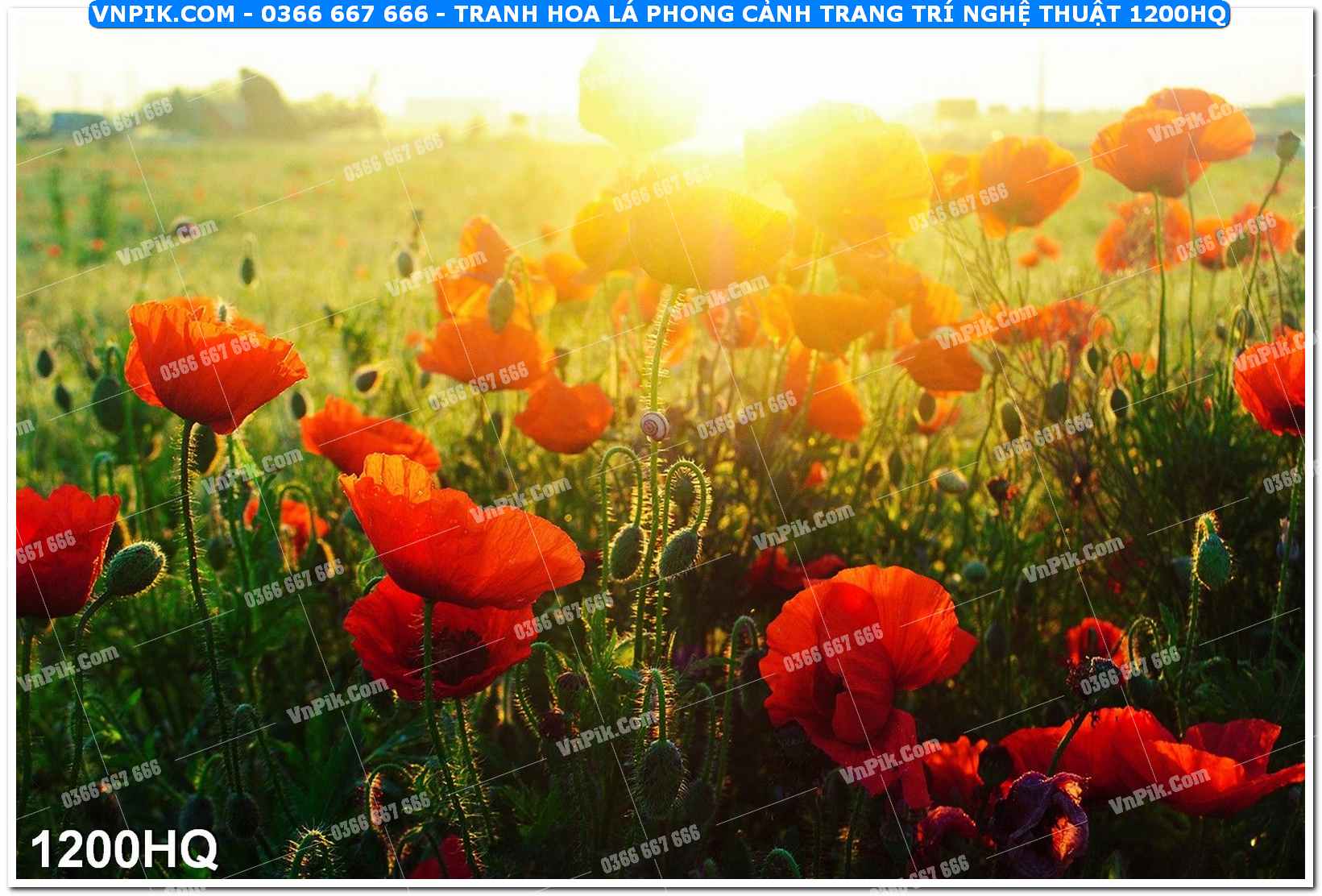 Tranh hoa lá phong cảnh trang trí nghệ thuật 1200HQ