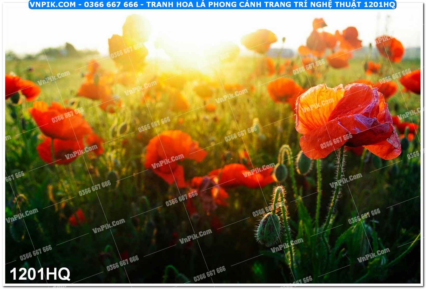 Tranh hoa lá phong cảnh trang trí nghệ thuật 1201HQ