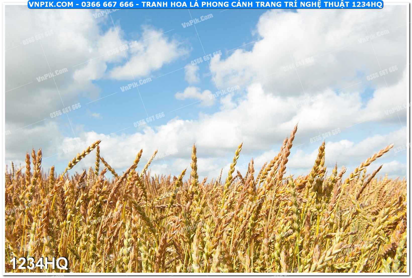 Tranh hoa lá phong cảnh trang trí nghệ thuật 1234HQ