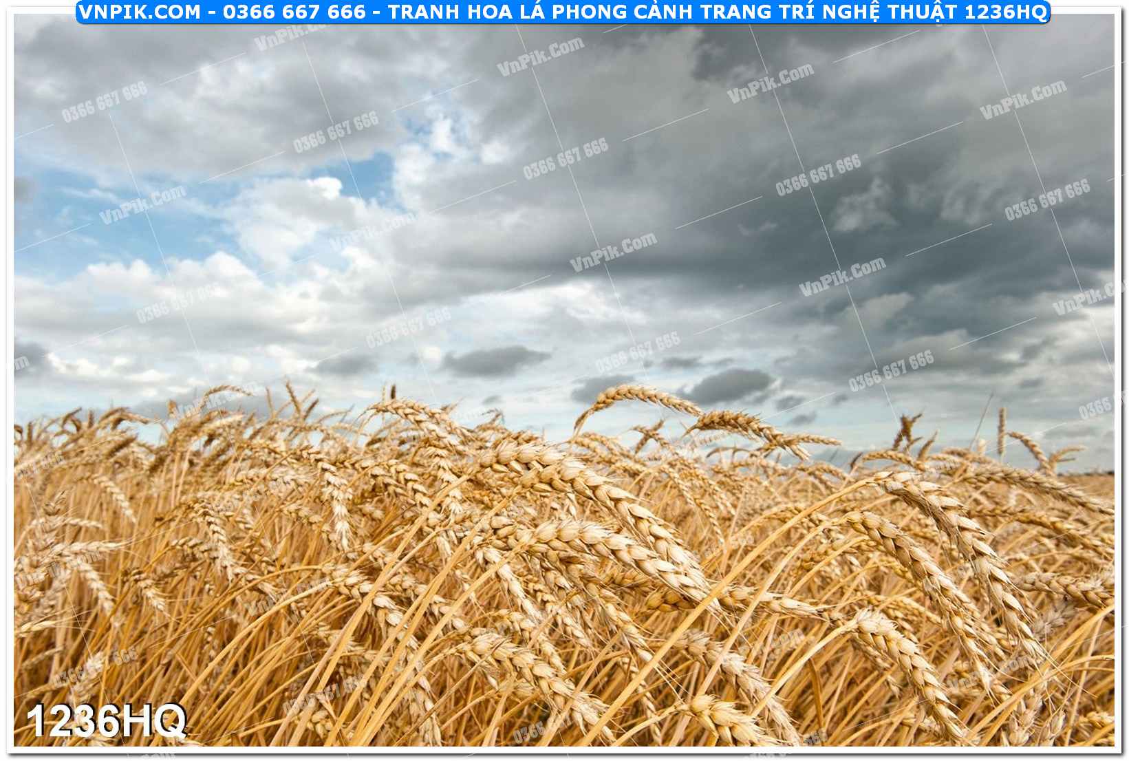 Tranh hoa lá phong cảnh trang trí nghệ thuật 1236HQ