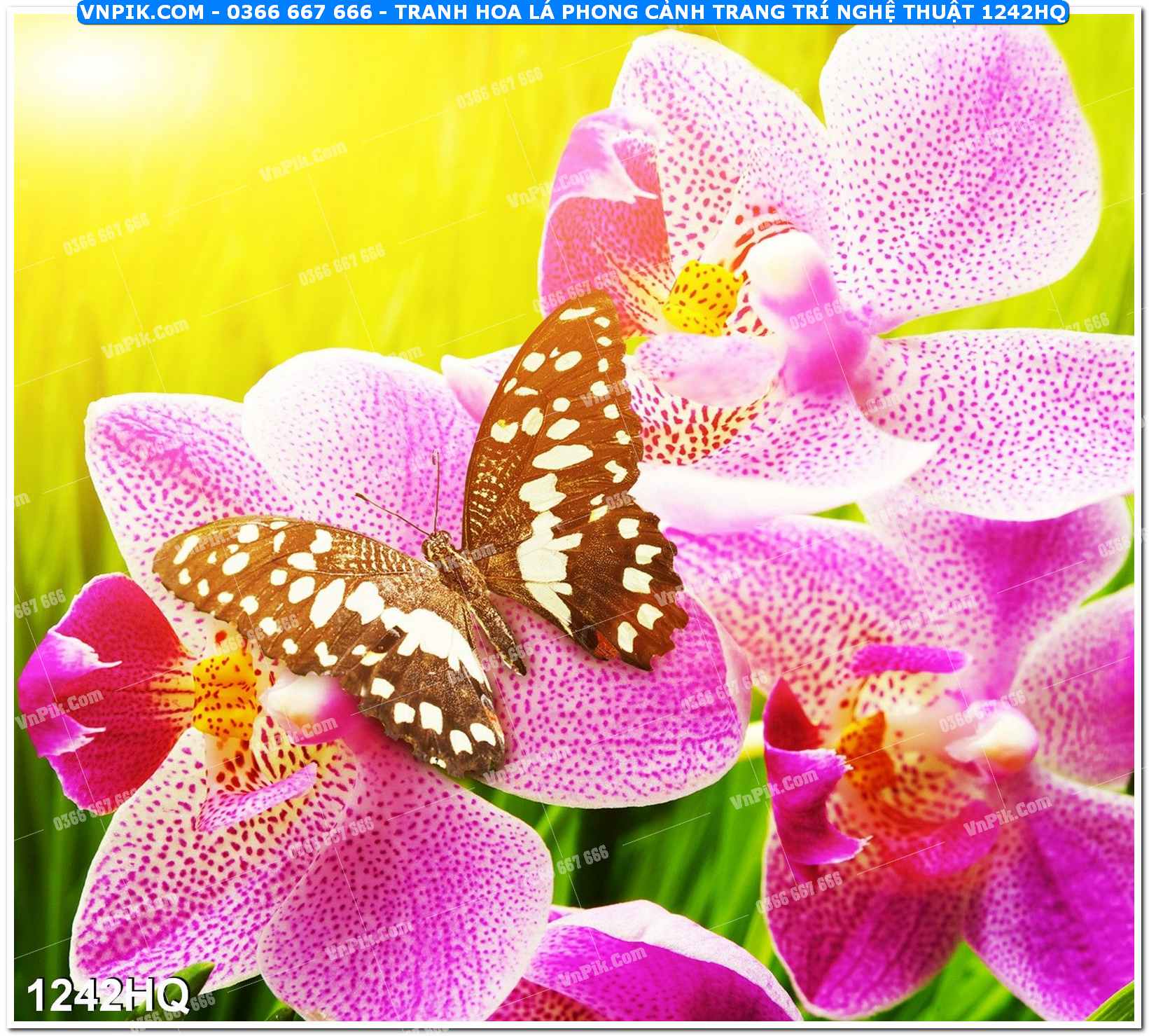 Tranh hoa lá phong cảnh trang trí nghệ thuật 1242HQ