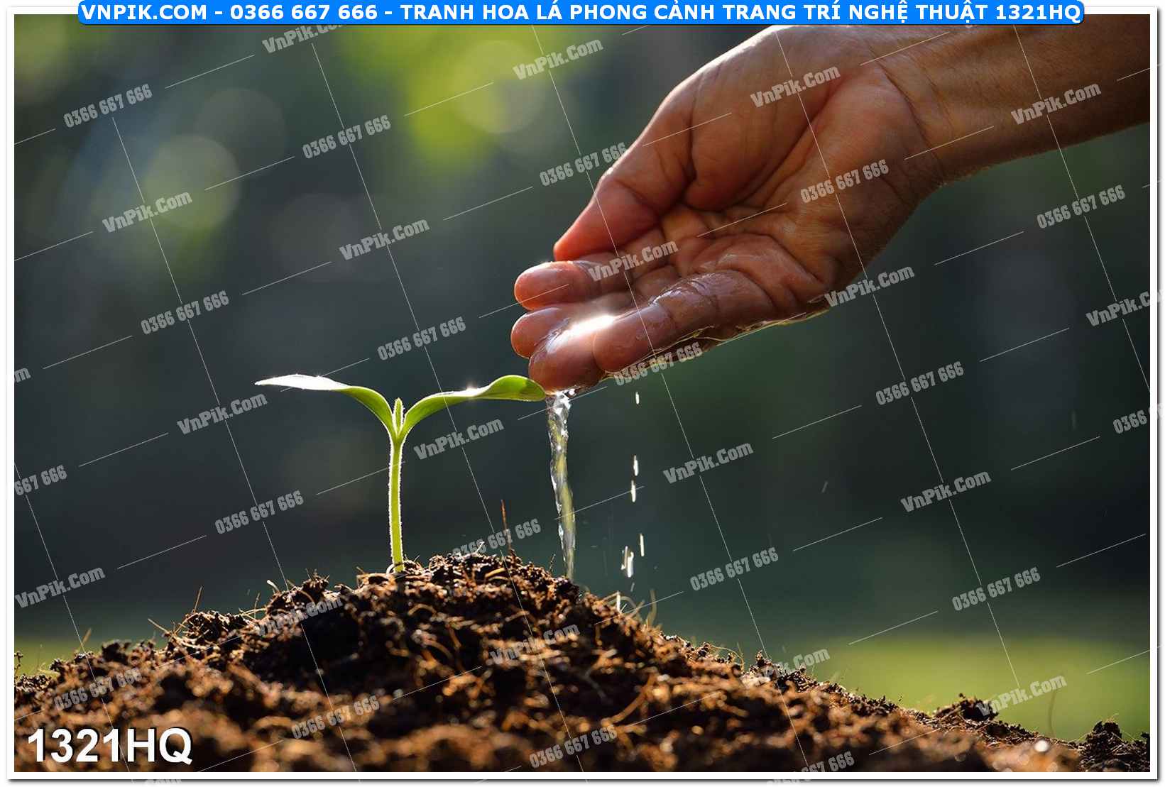 Tranh hoa lá phong cảnh trang trí nghệ thuật 1321HQ