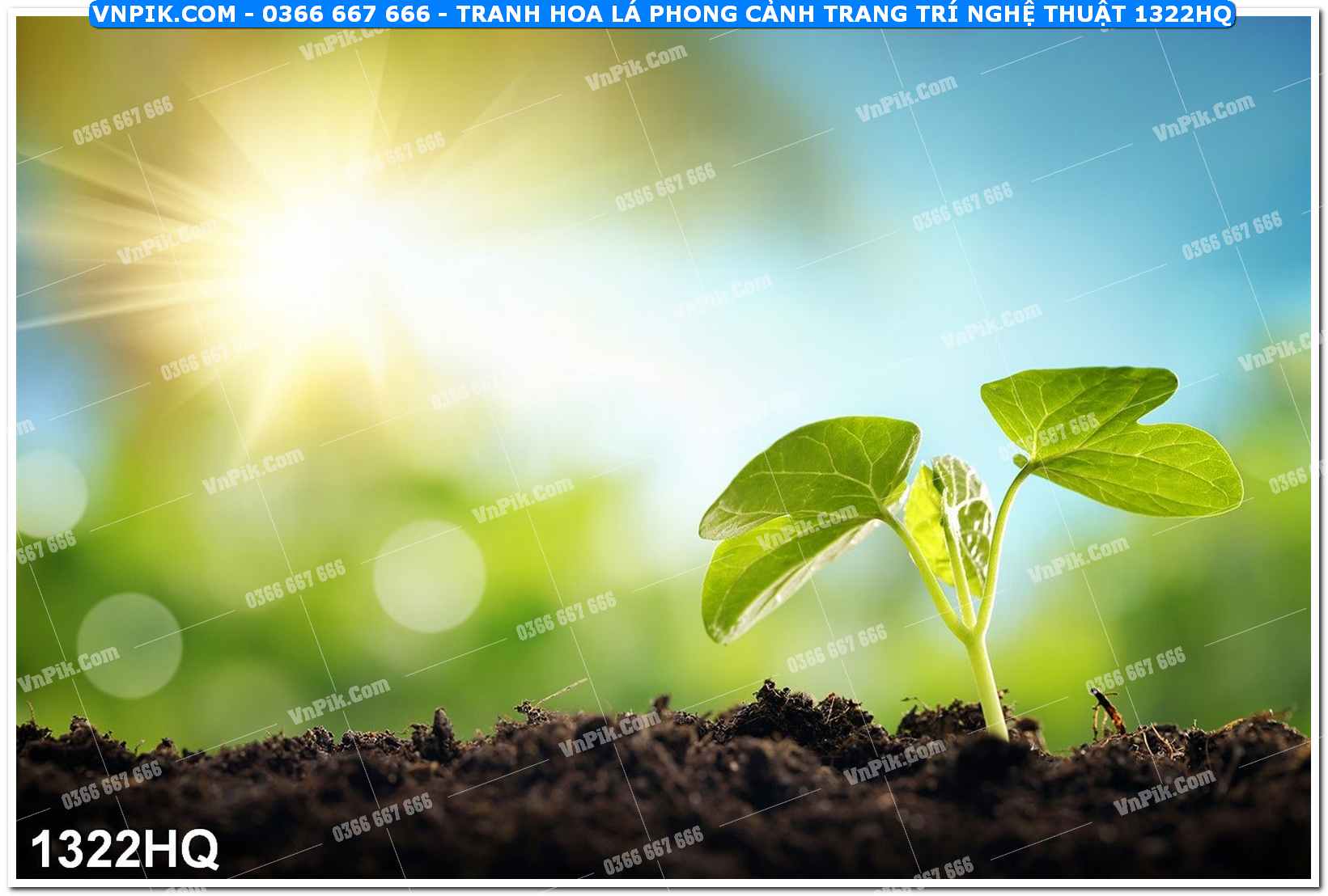 Tranh hoa lá phong cảnh trang trí nghệ thuật 1322HQ