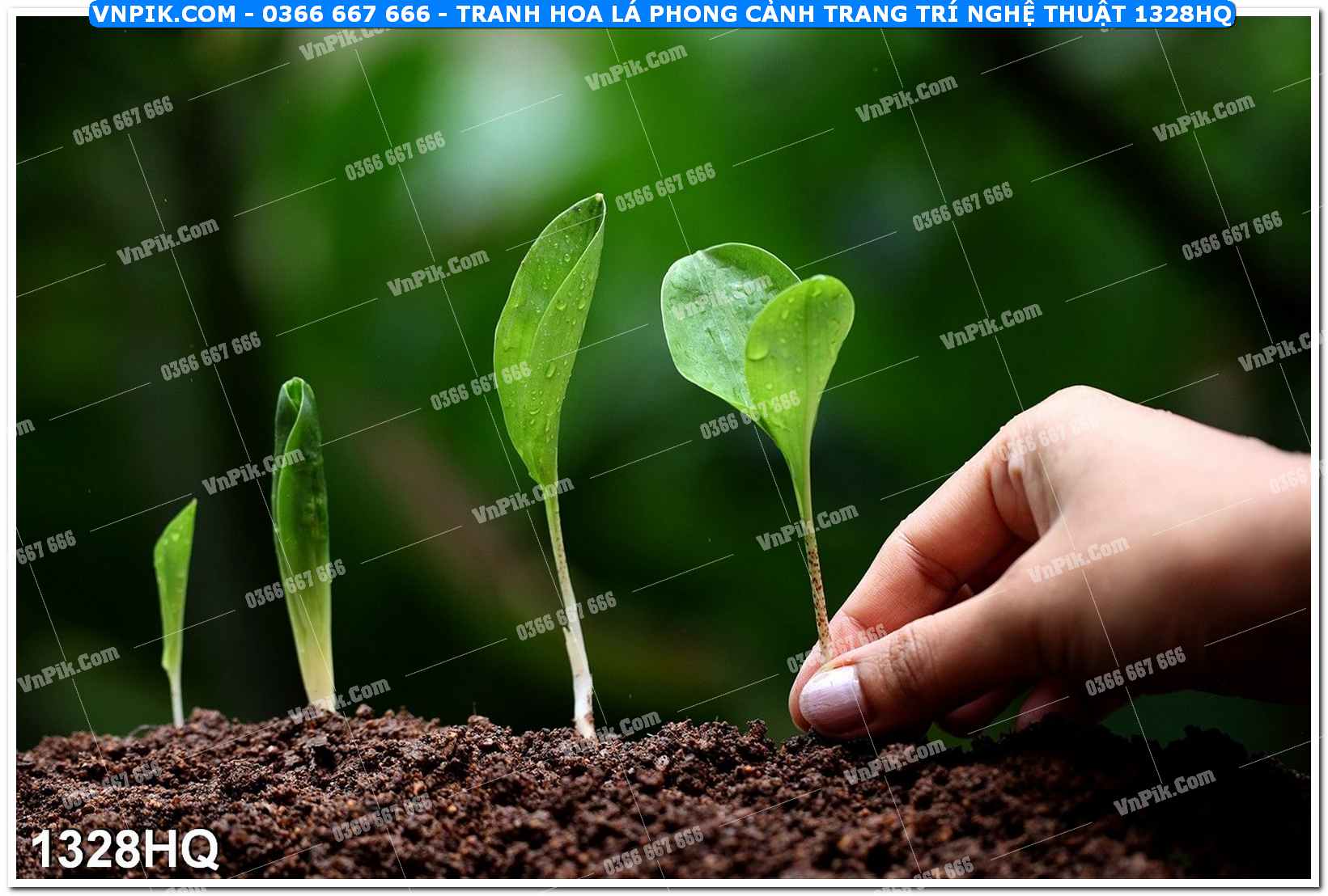 Tranh hoa lá phong cảnh trang trí nghệ thuật 1328HQ