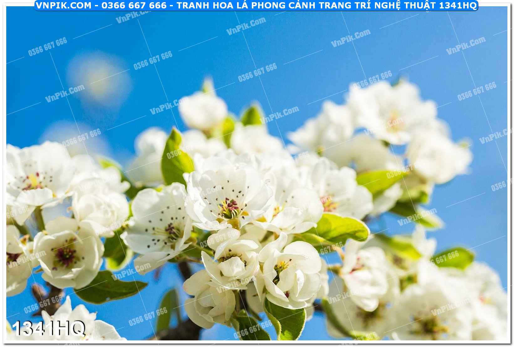 Tranh hoa lá phong cảnh trang trí nghệ thuật 1341HQ