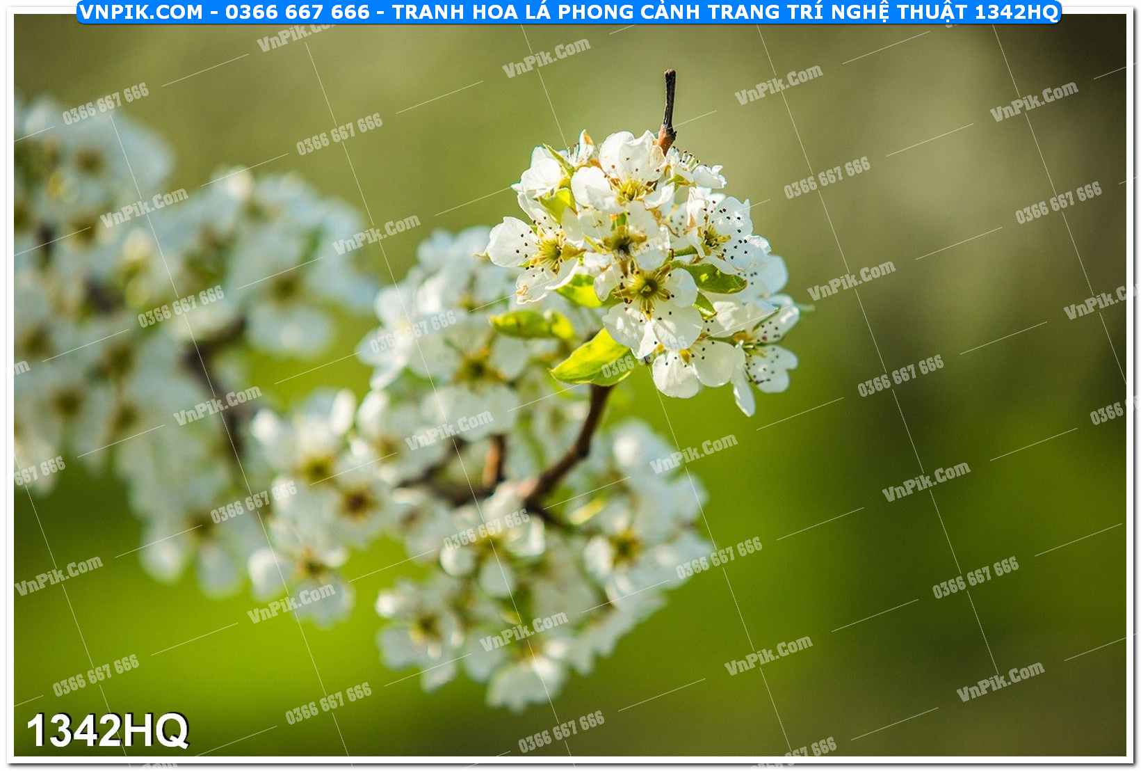 Tranh hoa lá phong cảnh trang trí nghệ thuật 1342HQ