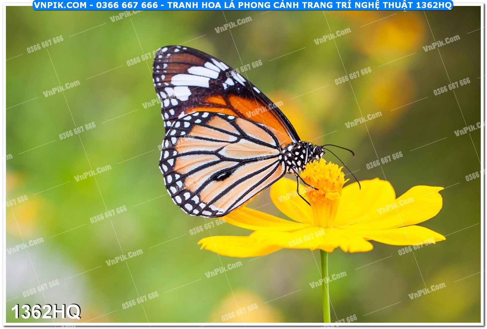 Tranh hoa lá phong cảnh trang trí nghệ thuật 1362HQ