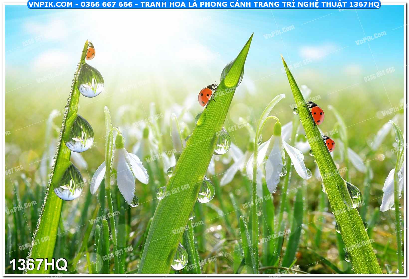 Tranh hoa lá phong cảnh trang trí nghệ thuật 1367HQ