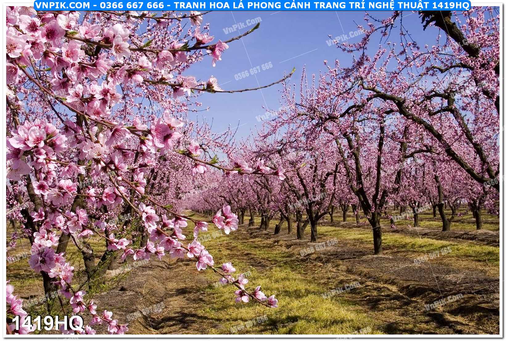 Tranh hoa lá phong cảnh trang trí nghệ thuật 1419HQ