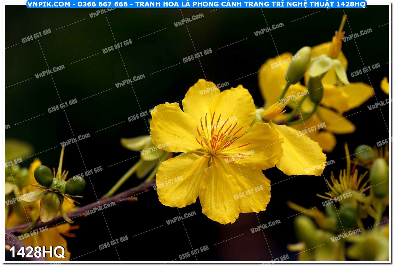Tranh hoa lá phong cảnh trang trí nghệ thuật 1428HQ