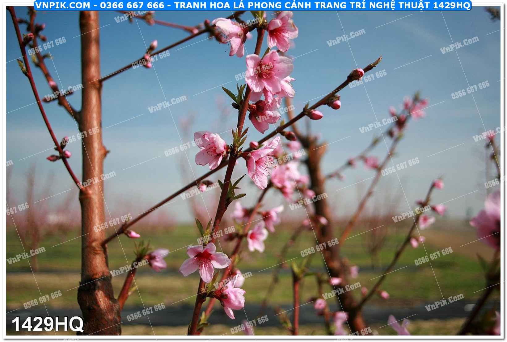 Tranh hoa lá phong cảnh trang trí nghệ thuật 1429HQ