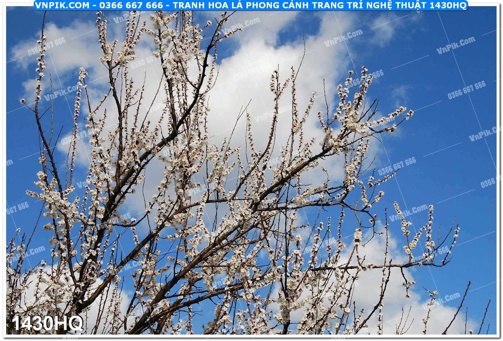 Tranh hoa lá phong cảnh trang trí nghệ thuật 1430HQ