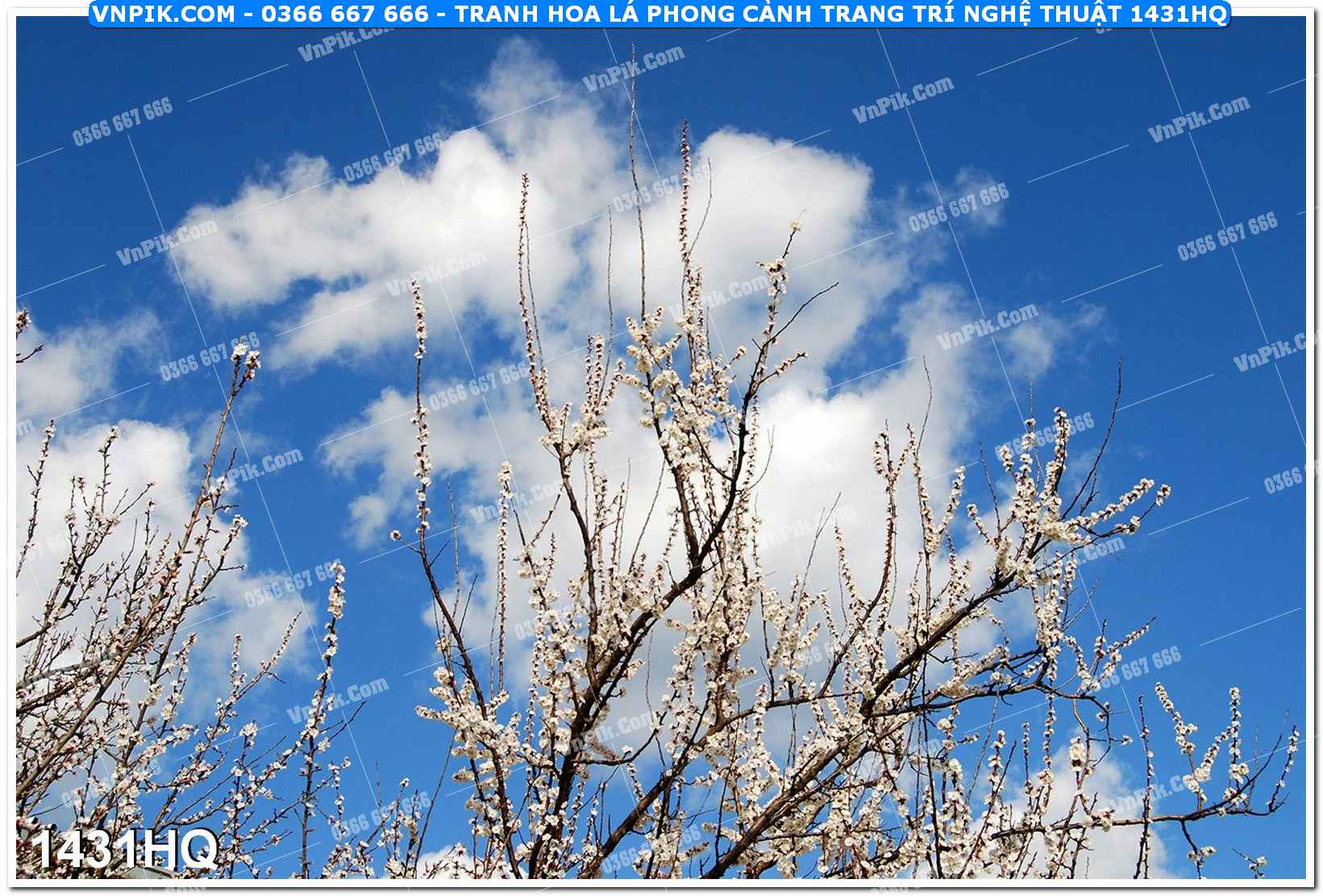 Tranh hoa lá phong cảnh trang trí nghệ thuật 1431HQ