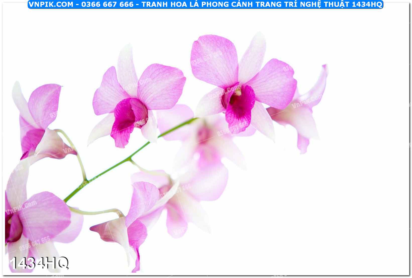 Tranh hoa lá phong cảnh trang trí nghệ thuật 1434HQ