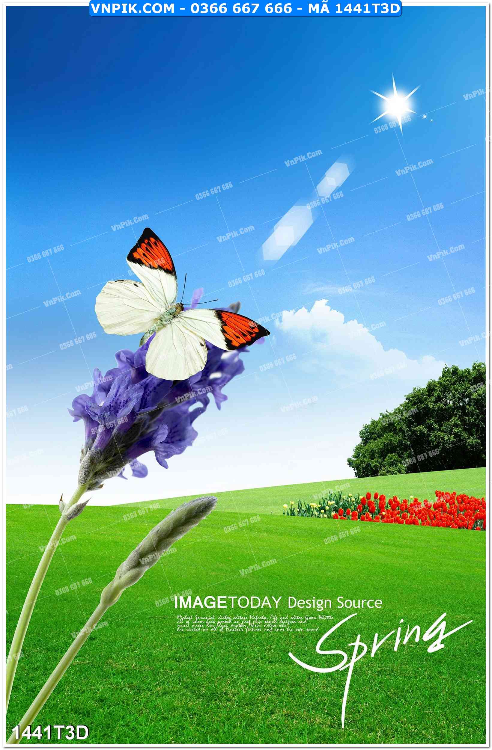 Trah Treo Tường – Tranh 3D Hiện Đại 1441T3D