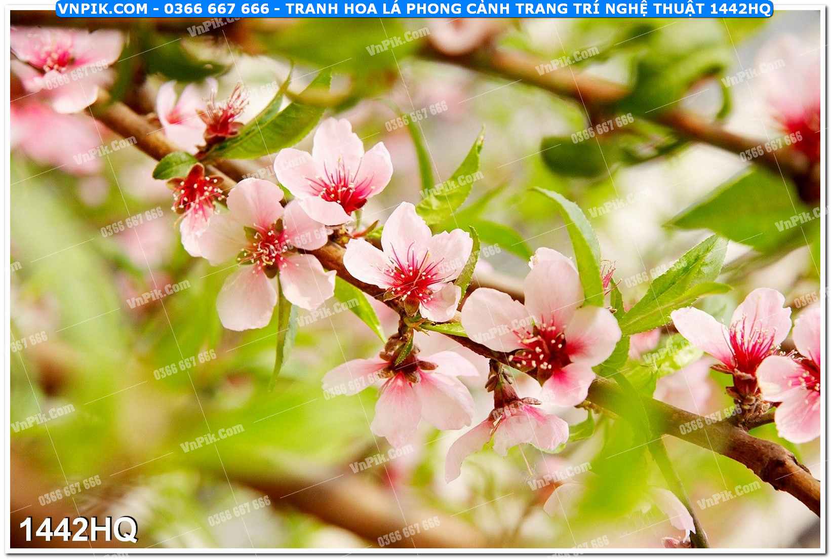 Tranh hoa lá phong cảnh trang trí nghệ thuật 1442HQ