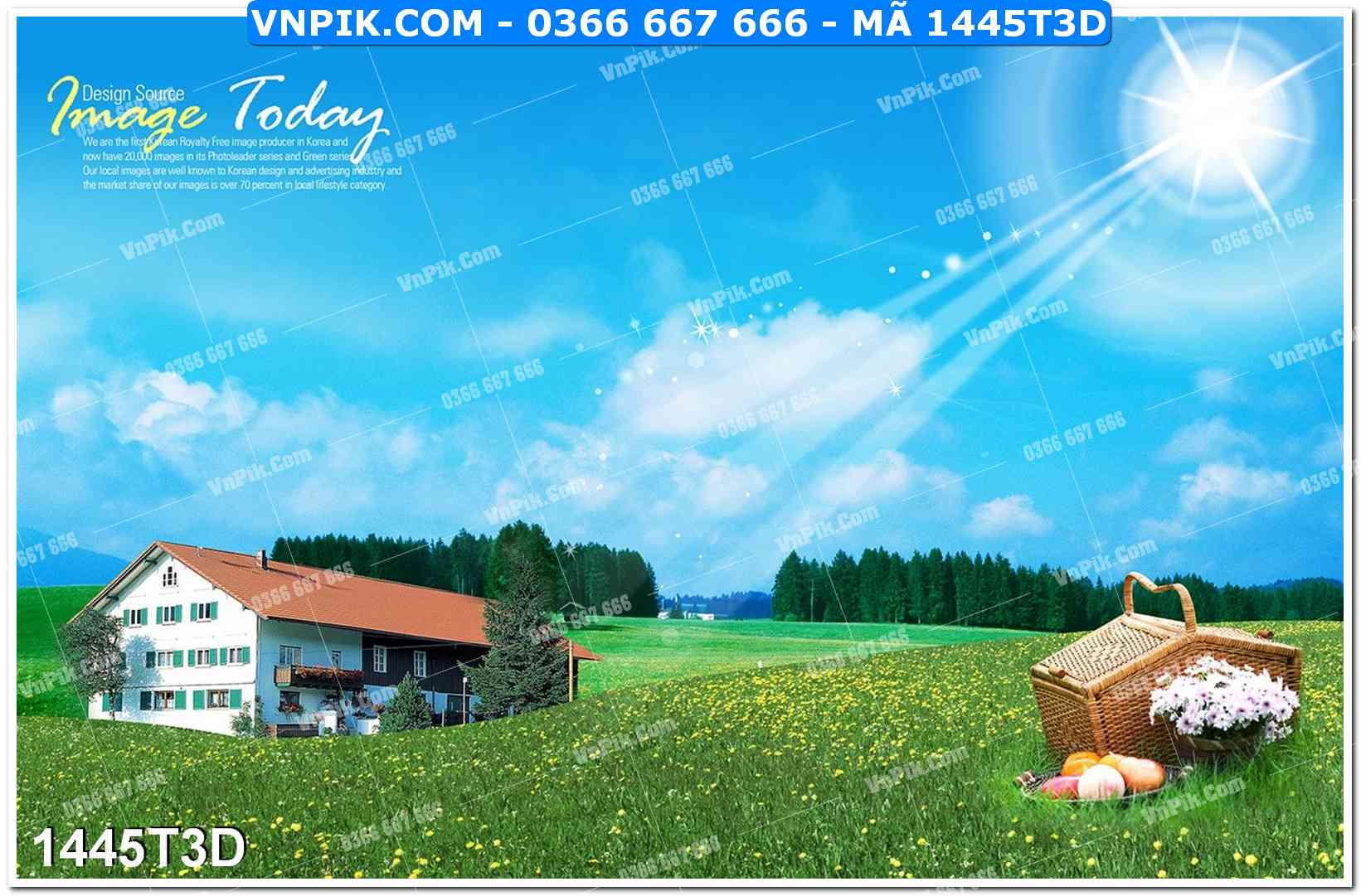 Trah Treo Tường – Tranh 3D Hiện Đại 1445T3D