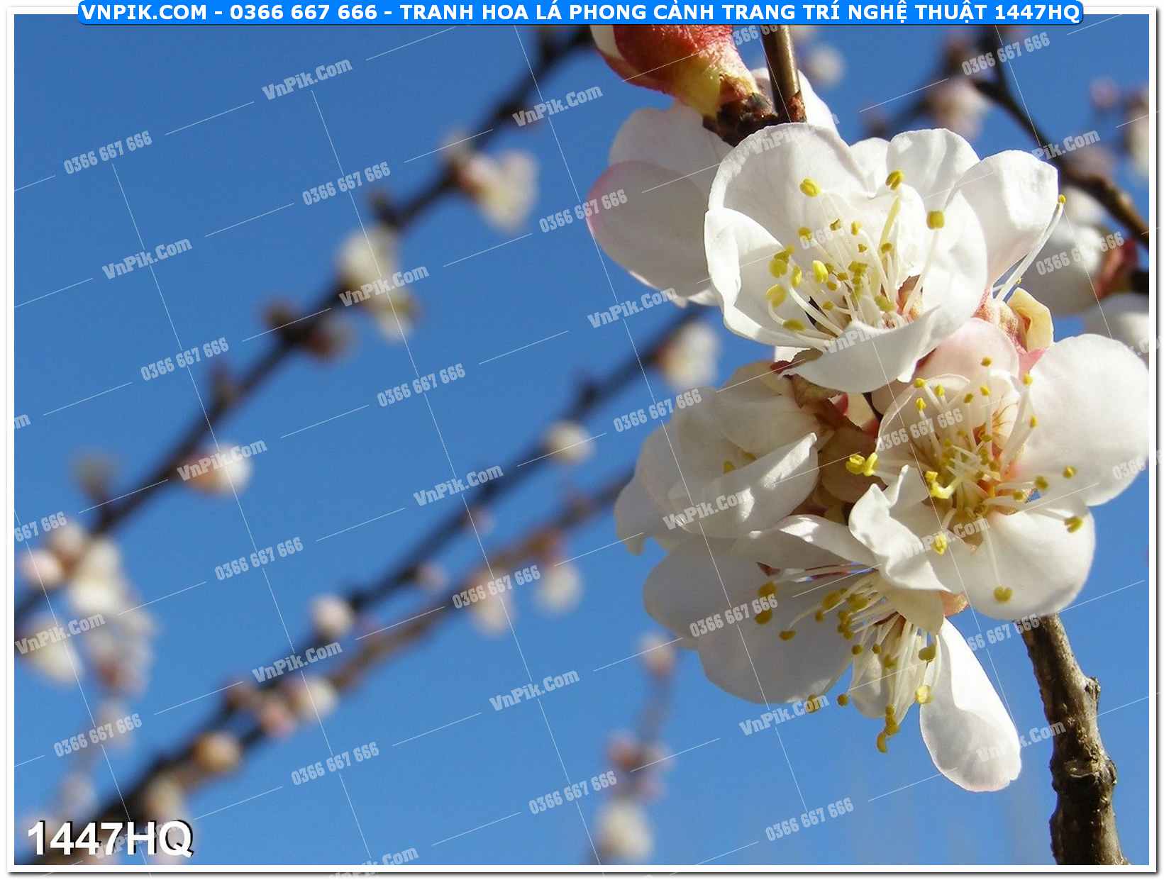 Tranh hoa lá phong cảnh trang trí nghệ thuật 1447HQ