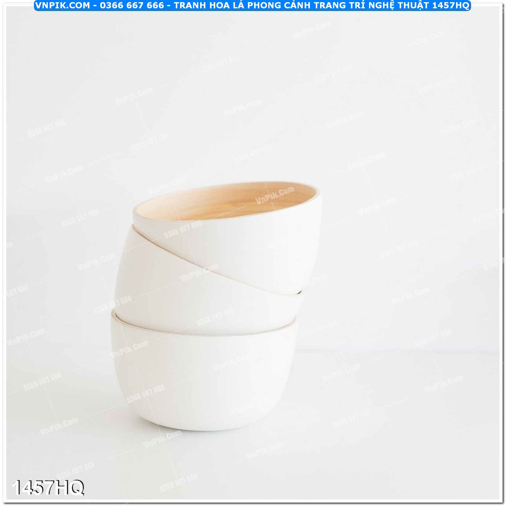 Tranh hoa lá phong cảnh trang trí nghệ thuật 1457HQ