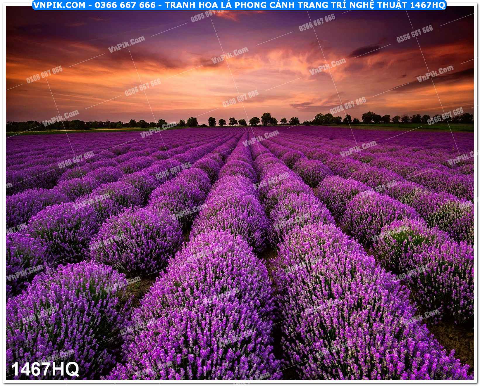 Tranh hoa lá phong cảnh trang trí nghệ thuật 1467HQ